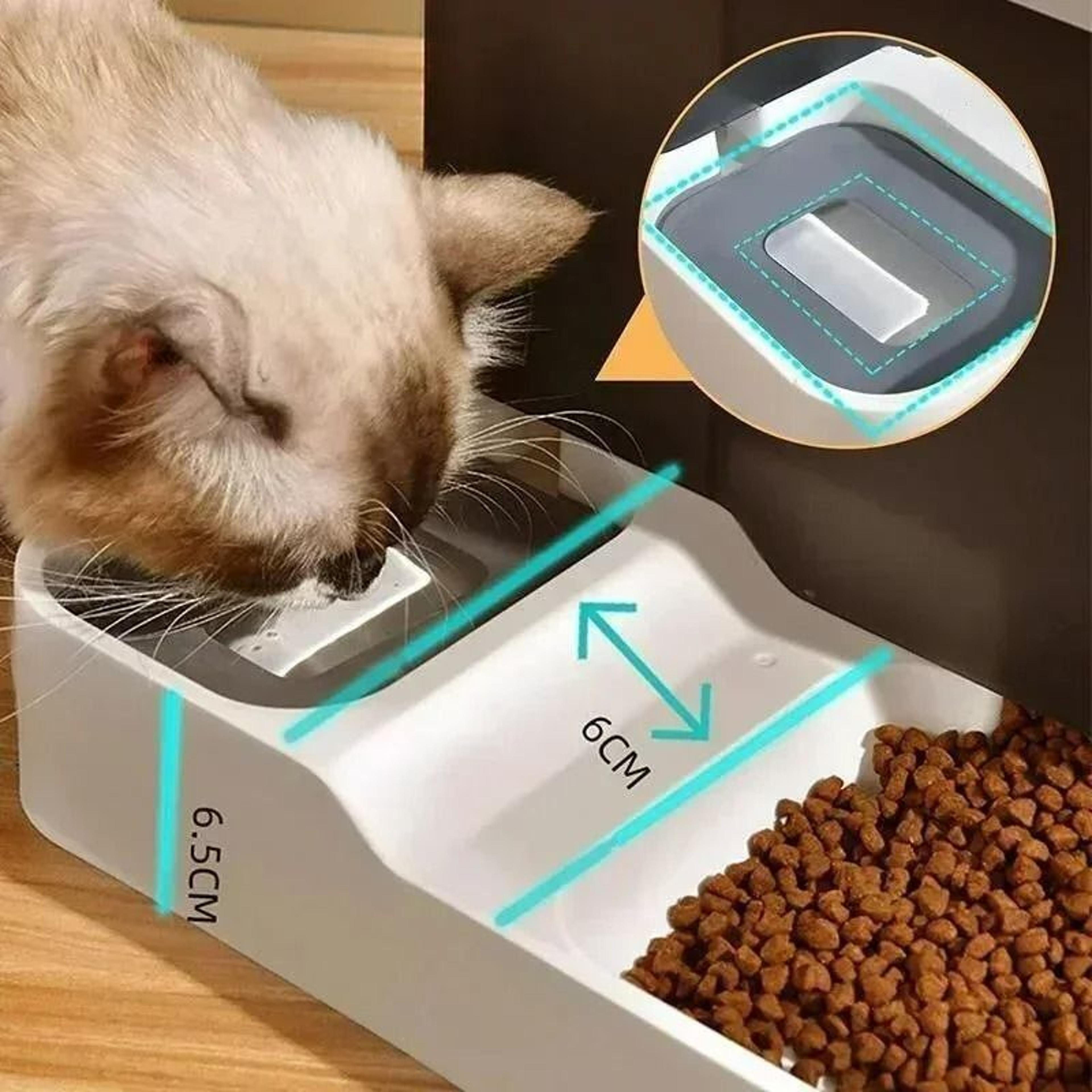 2in1 Smart Gravity Feeding  Hydration Station 4