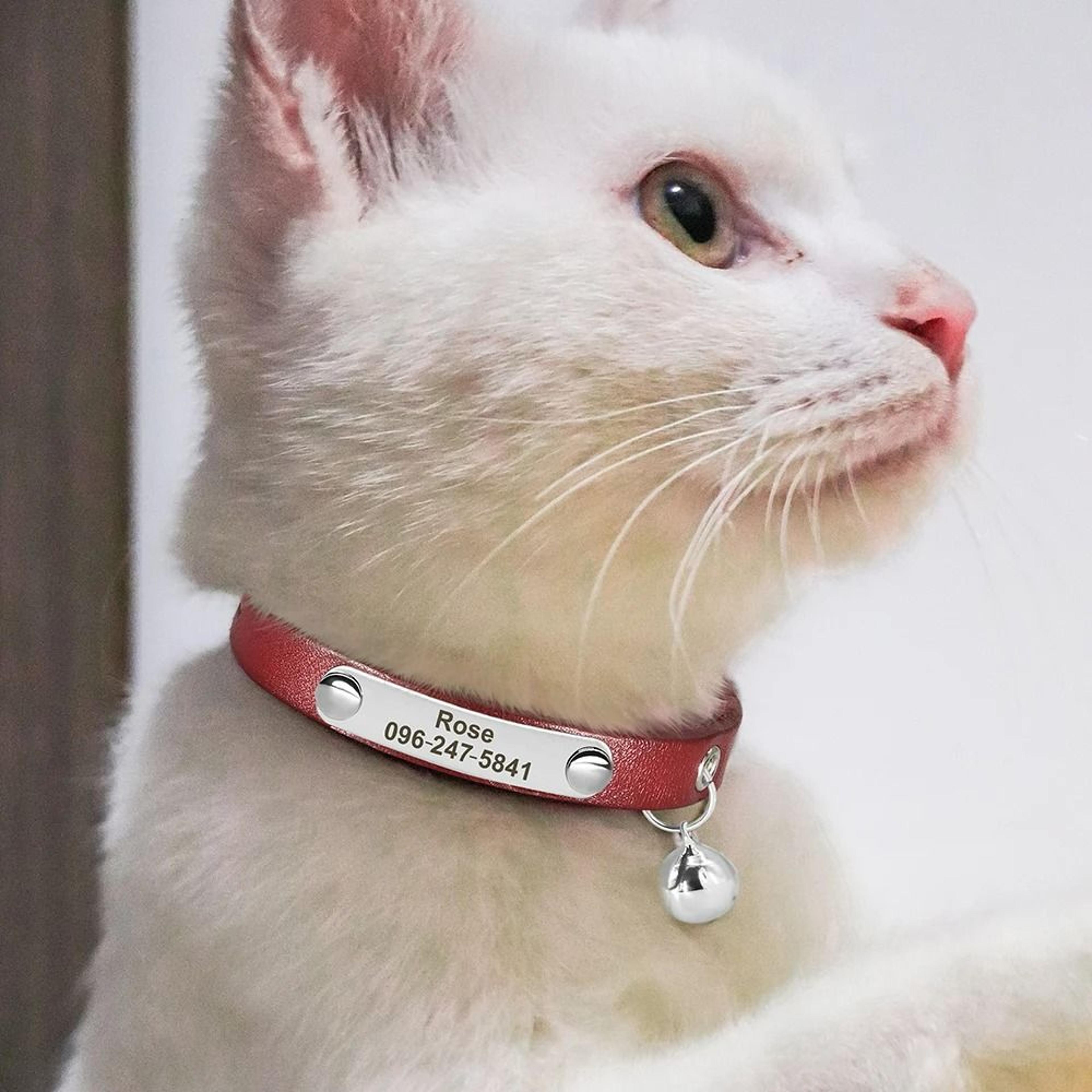 HeirloomFit Personalized Leather Cat Collar 4