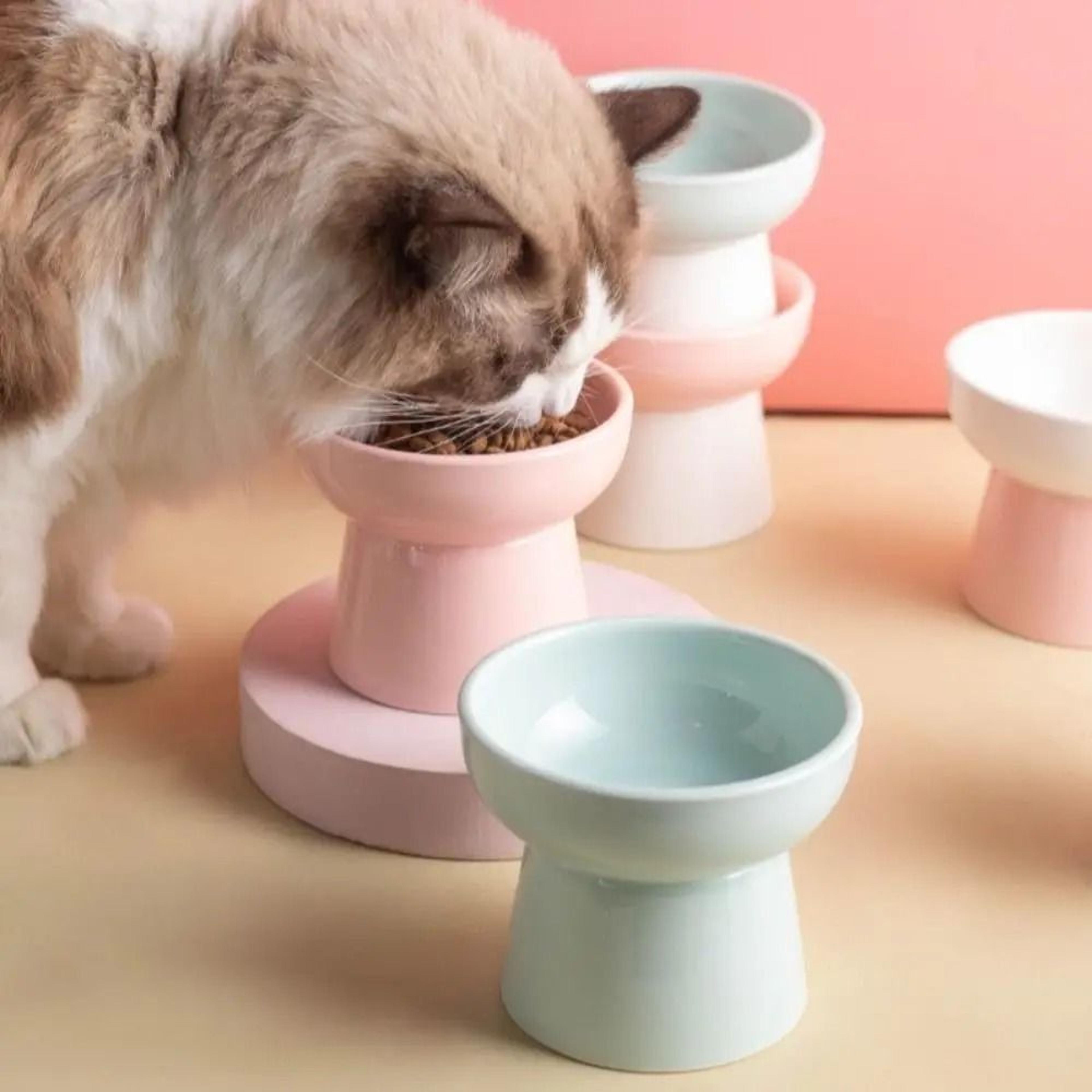 ZenithCurve Elevated Ceramic Feeding Dish 2