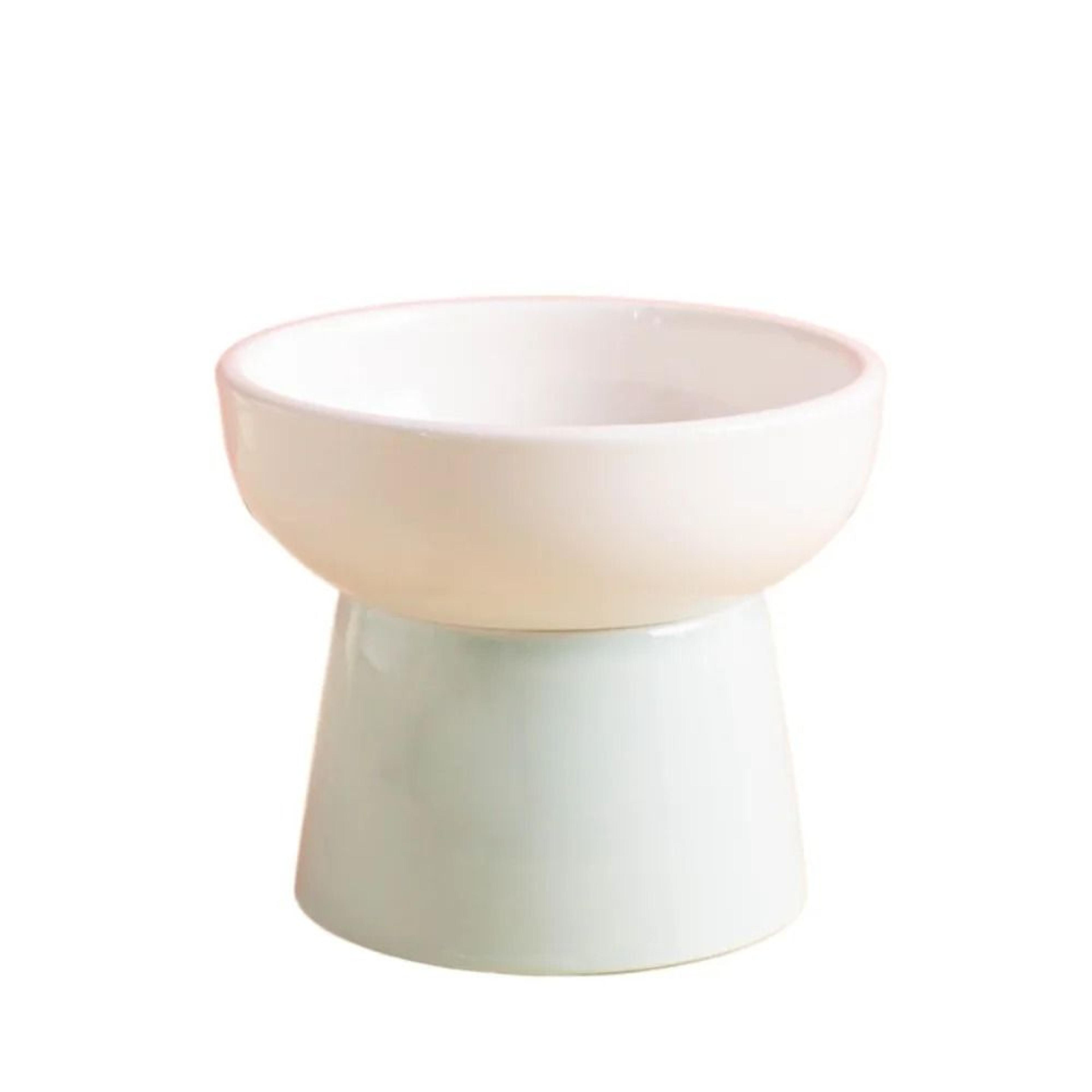 ZenithCurve Elevated Ceramic Feeding Dish 10