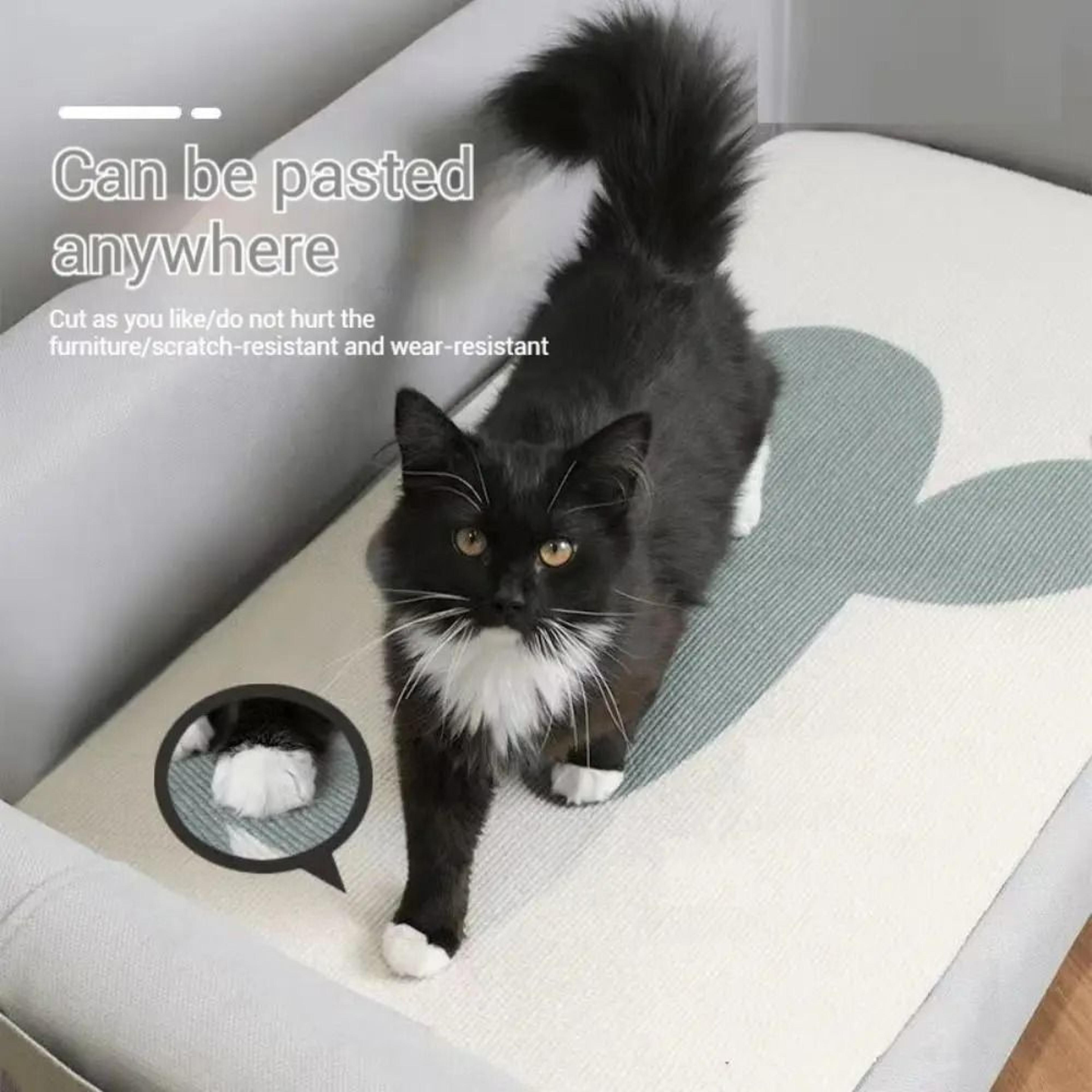 SelfAdhesive Wall  Sofa Guard  CustomFit DIY Cat Scratching Carpet 2