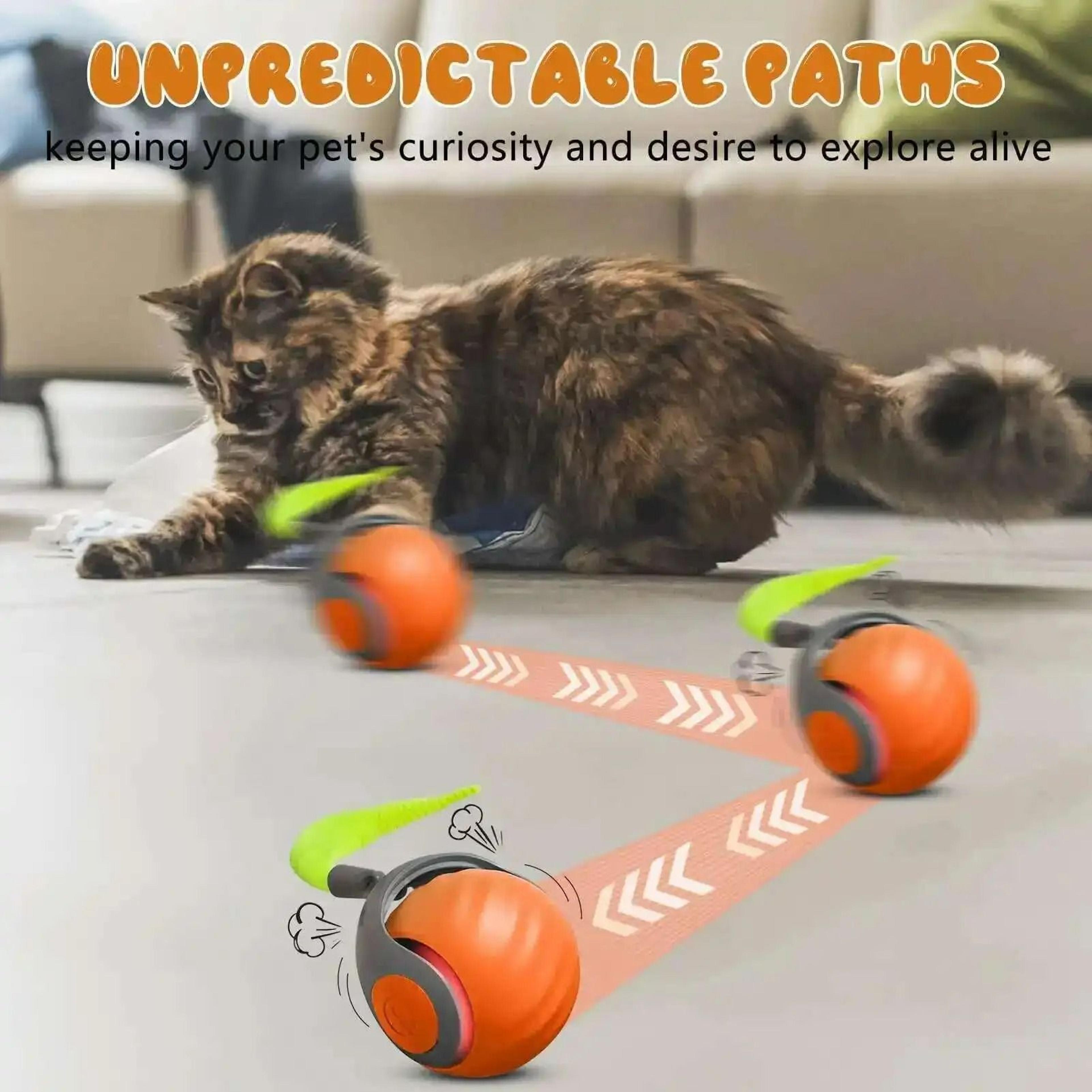 Speedy Tail 20 Smart Interactive Ball  MotionActivated Automatic Rolling Toy 2