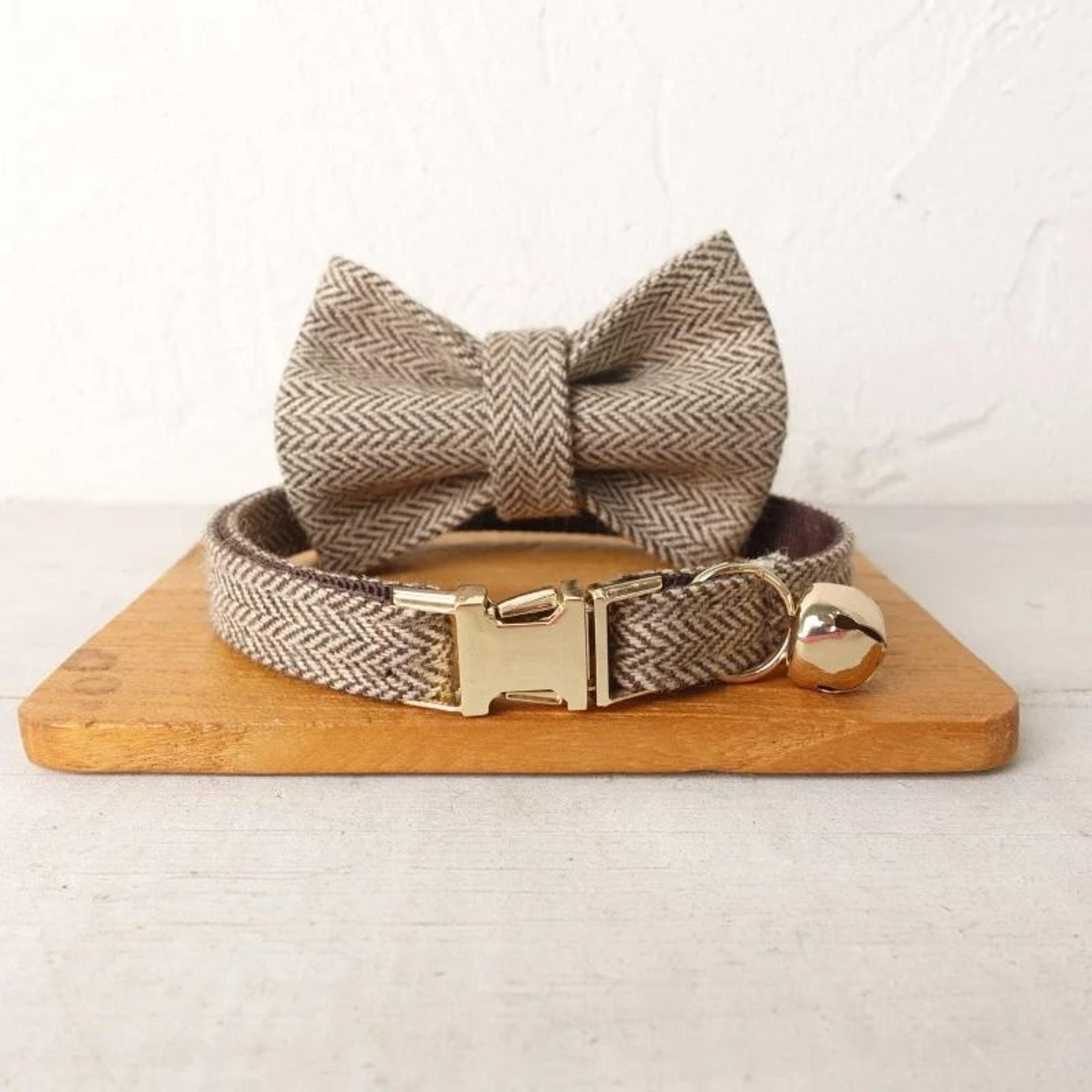 Personalized Bowtie Cat Collar  Custom Engraved Nameplate Safety Necklace With Bell For Kittens  Sm 10