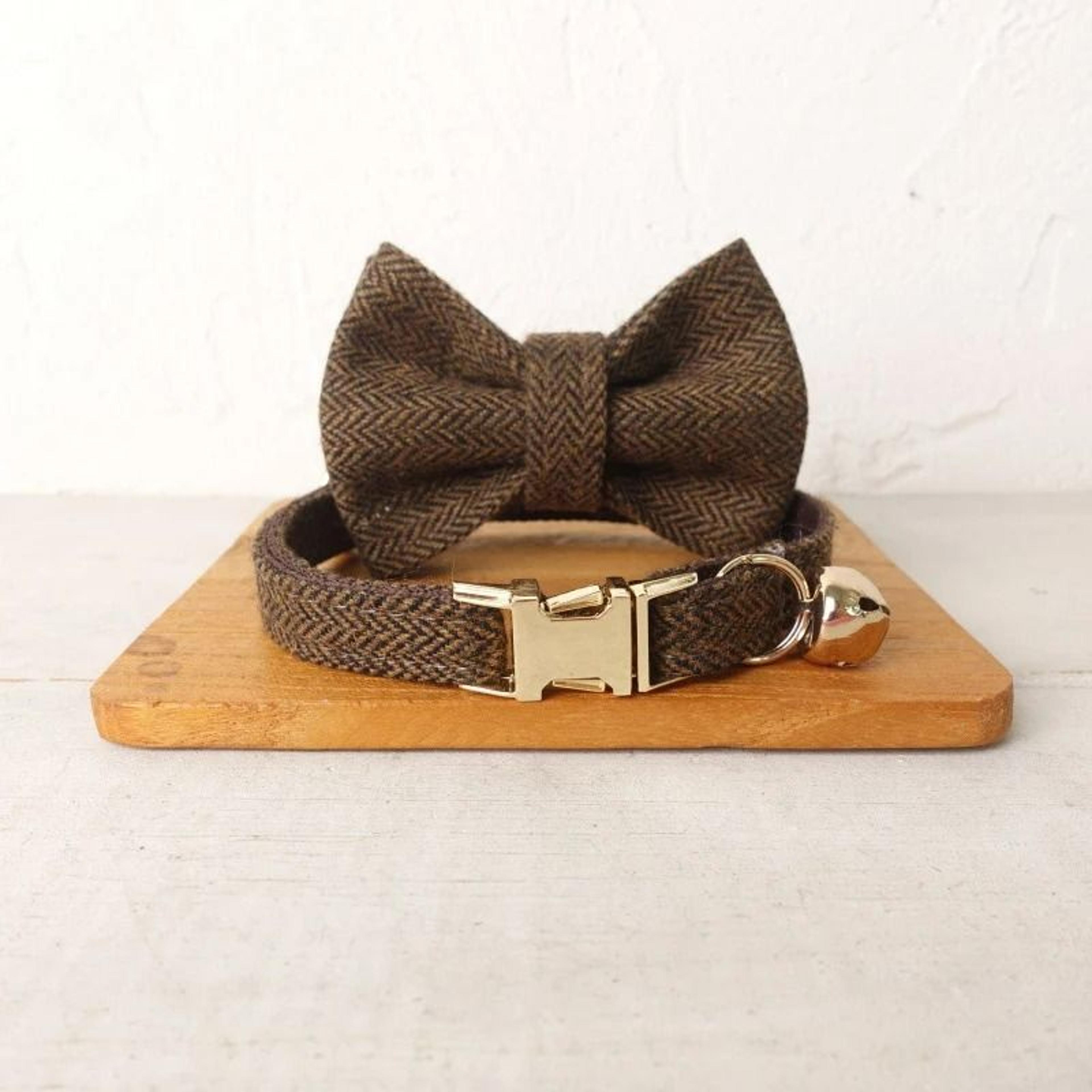 Personalized Bowtie Cat Collar  Custom Engraved Nameplate Safety Necklace With Bell For Kittens  Sm 12