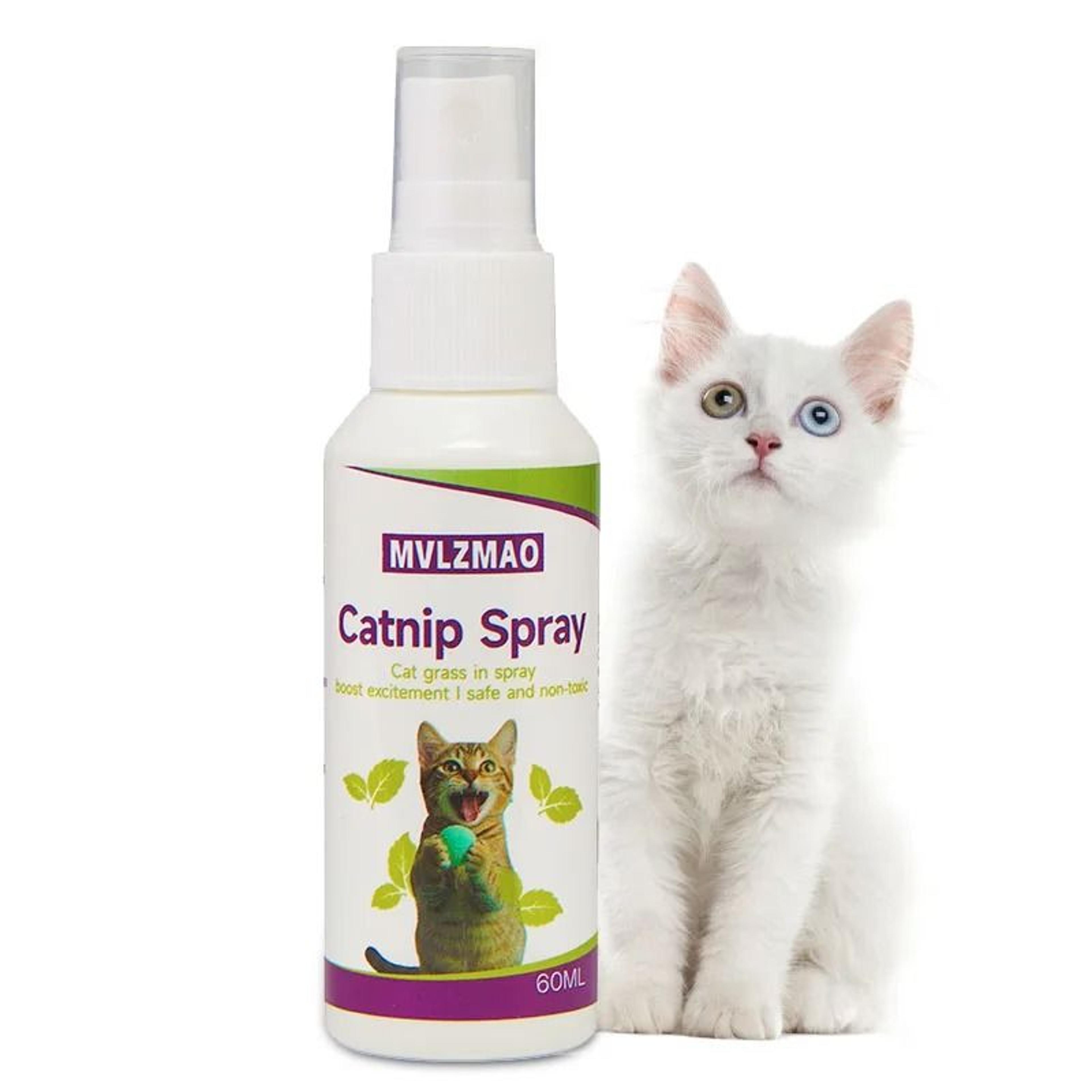 Natural Catnip Attraction Spray  Premium 60 Ml Behavior Training Mist  Toy Refresher For Cats And K 0