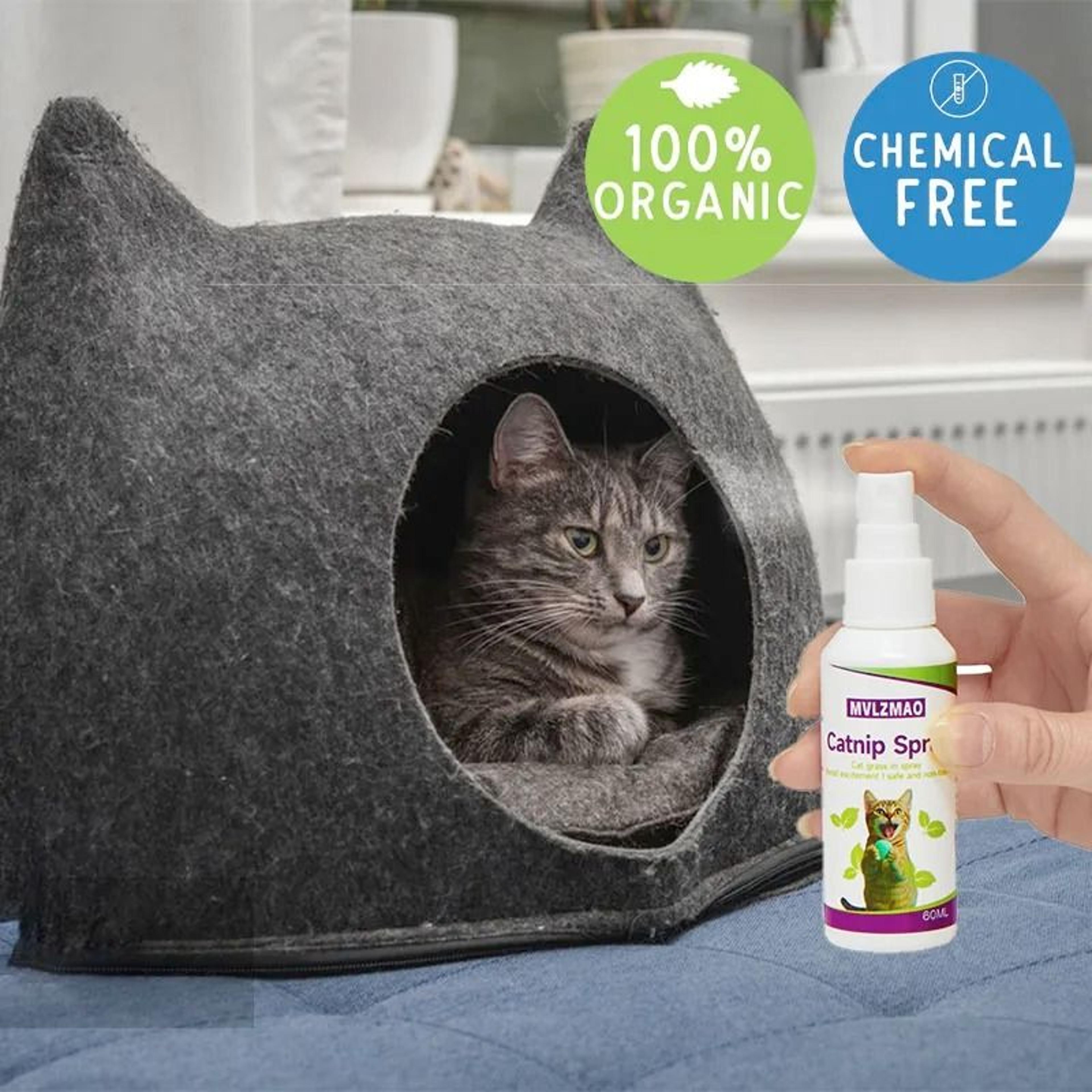 Natural Catnip Attraction Spray  Premium 60 Ml Behavior Training Mist  Toy Refresher For Cats And K 1
