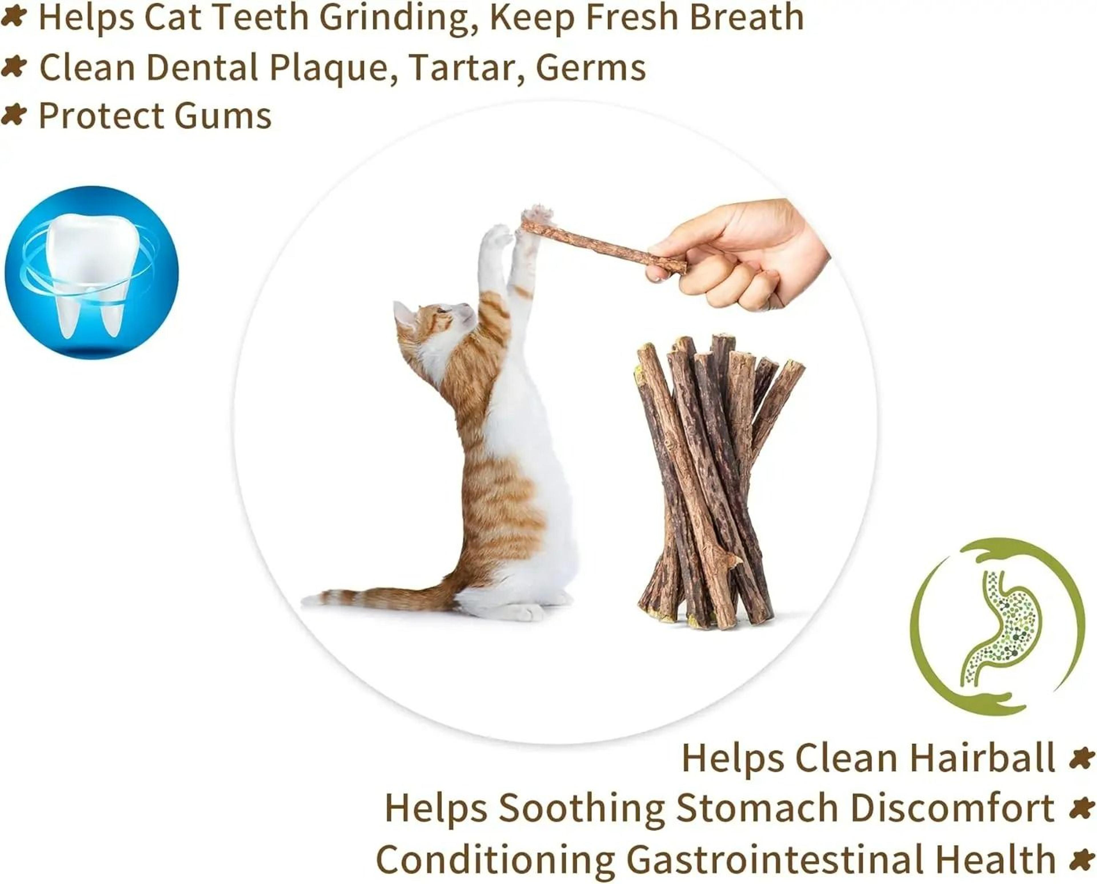 Natural Silvervine Teething  Dental Cleaning Sticks 5