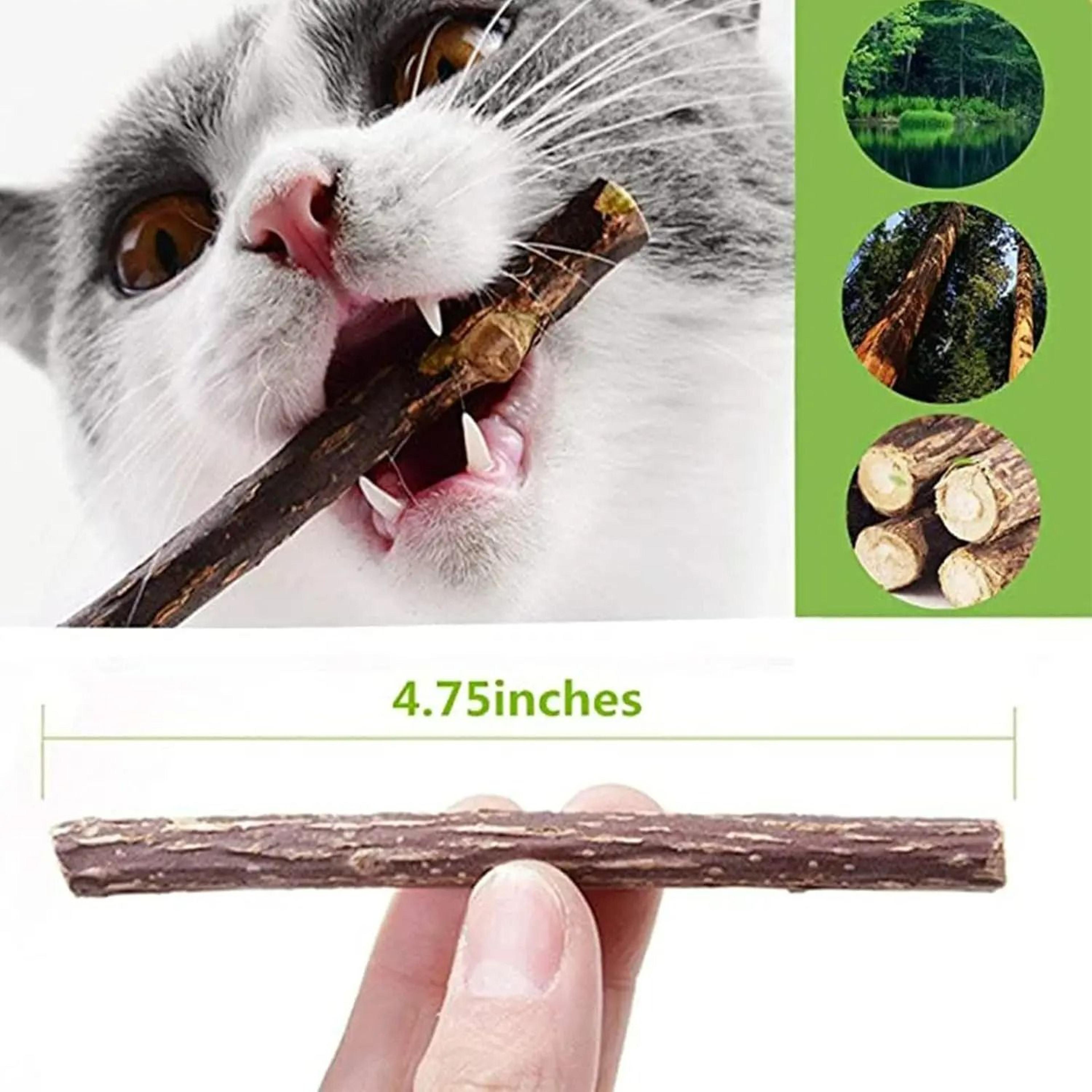 Natural Silvervine Teething  Dental Cleaning Sticks 6