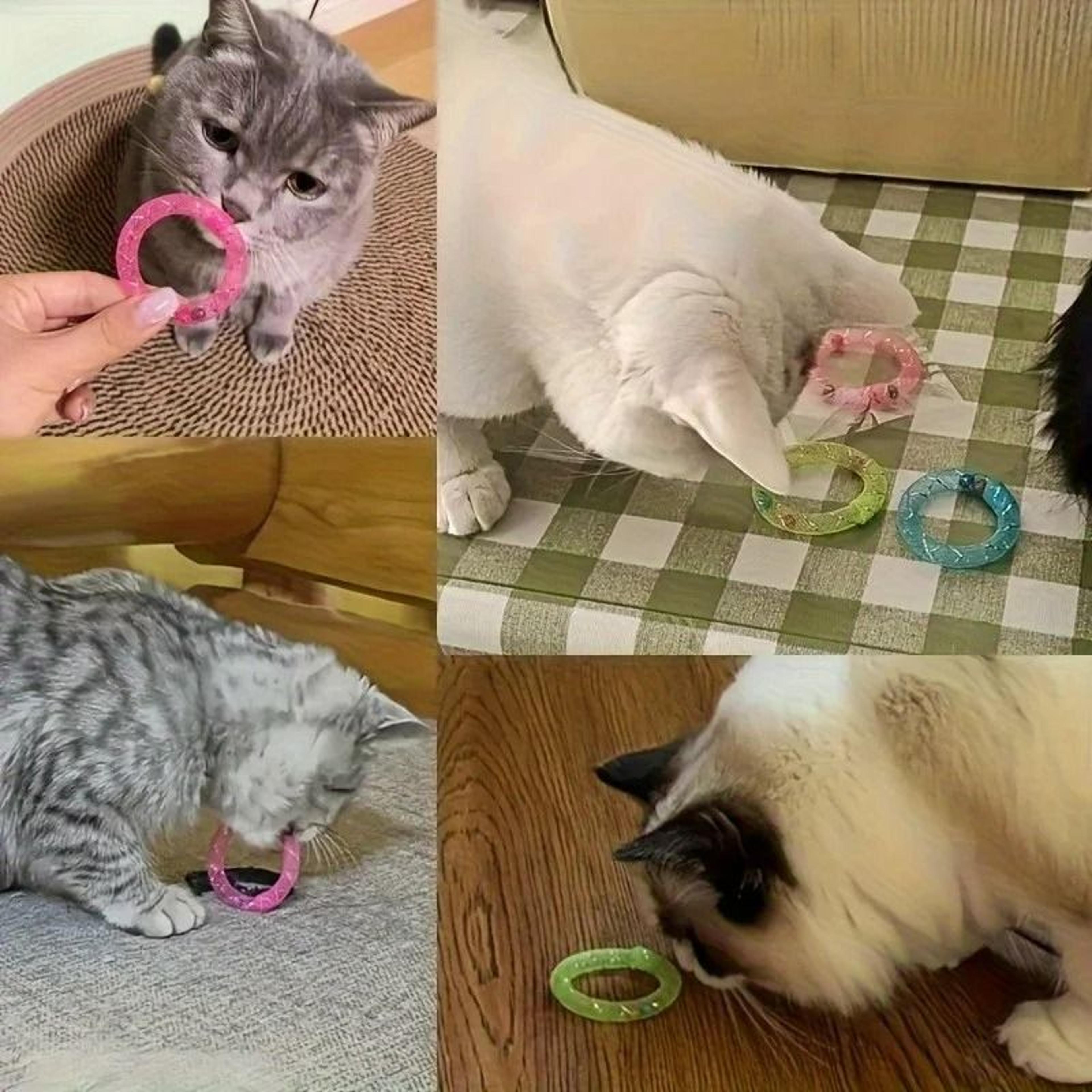 Bouncing Sweet Donut Spring Cat Toy 2