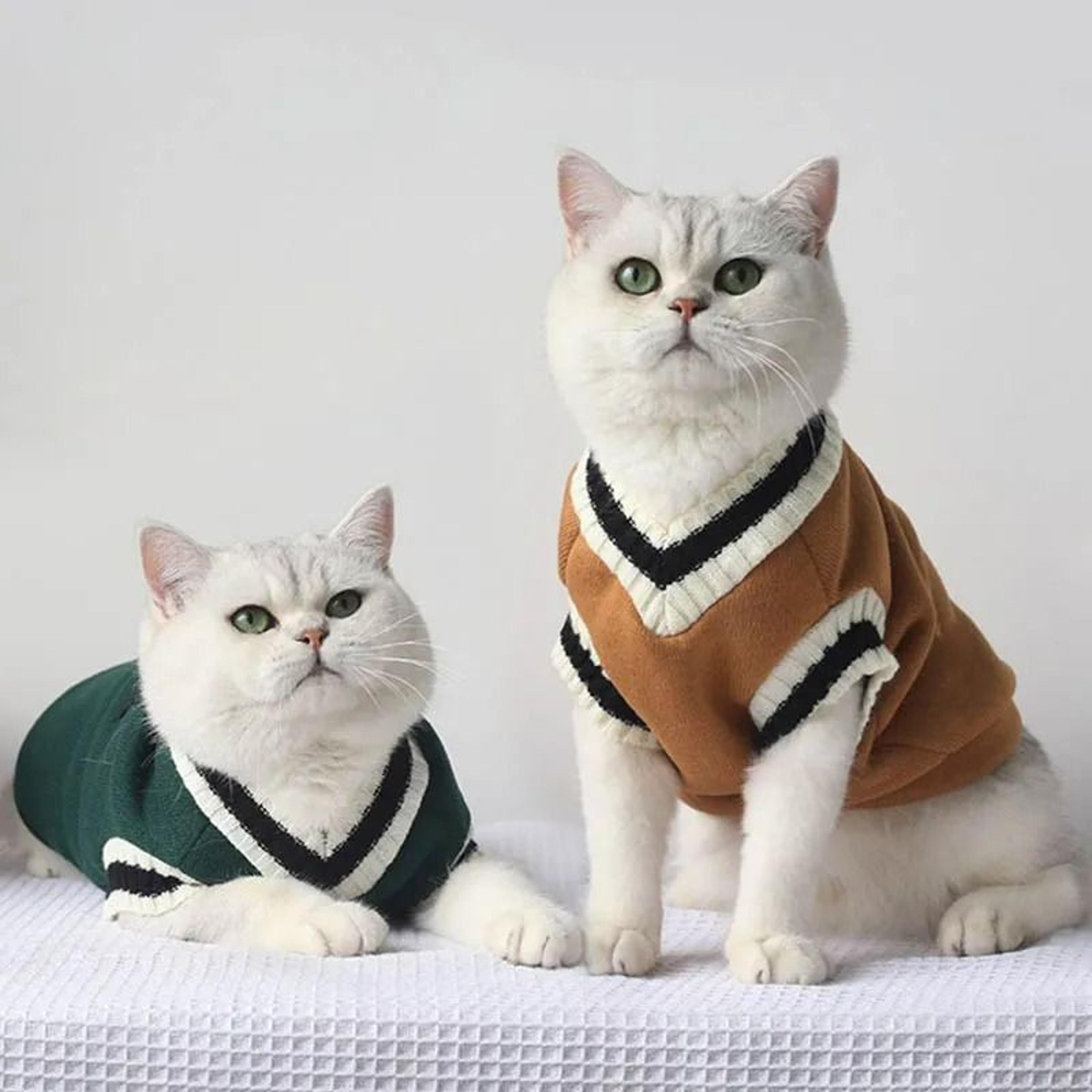 cozy winter knit pet pullover sweater