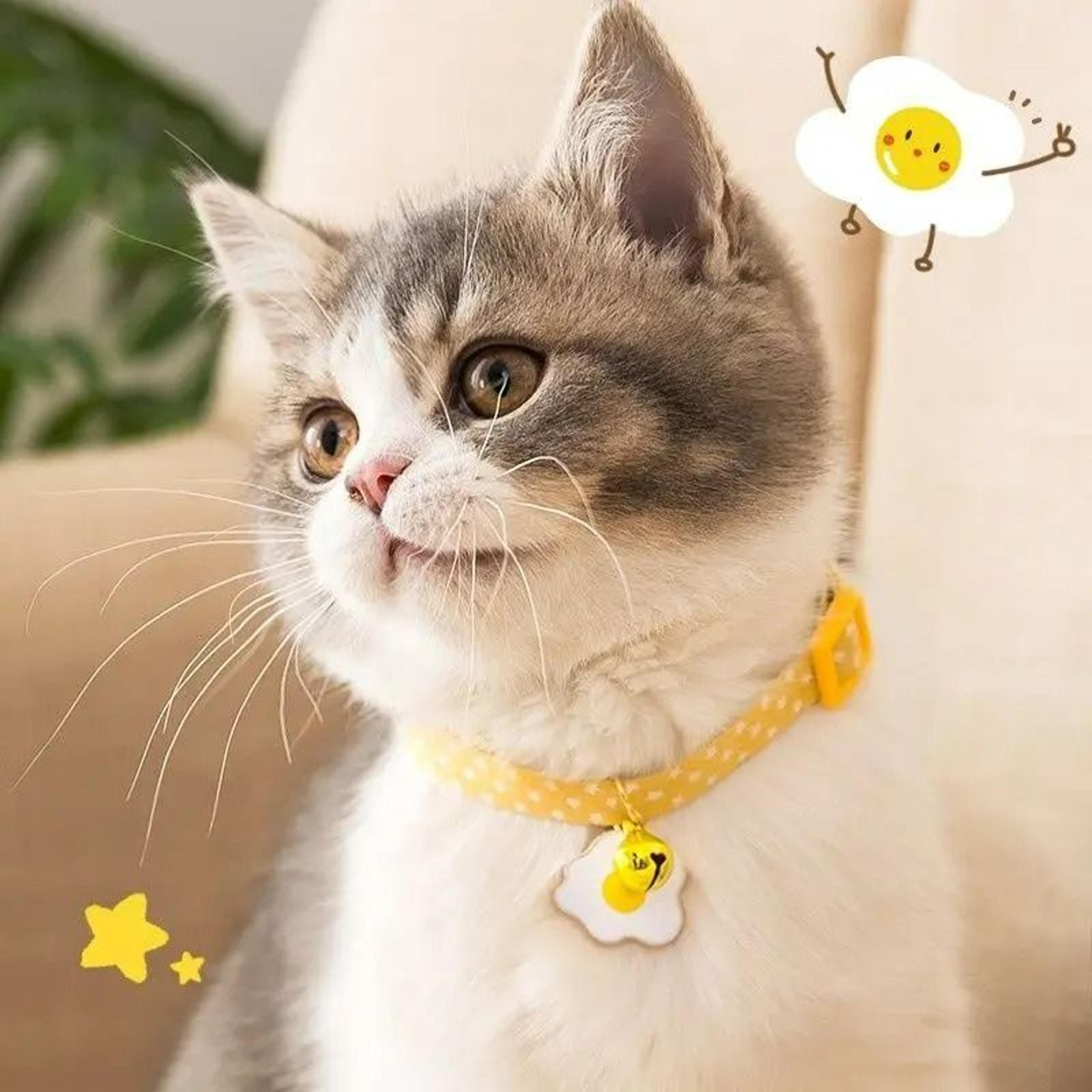 Adjustable Breakaway Kitten Collar With Bell 1