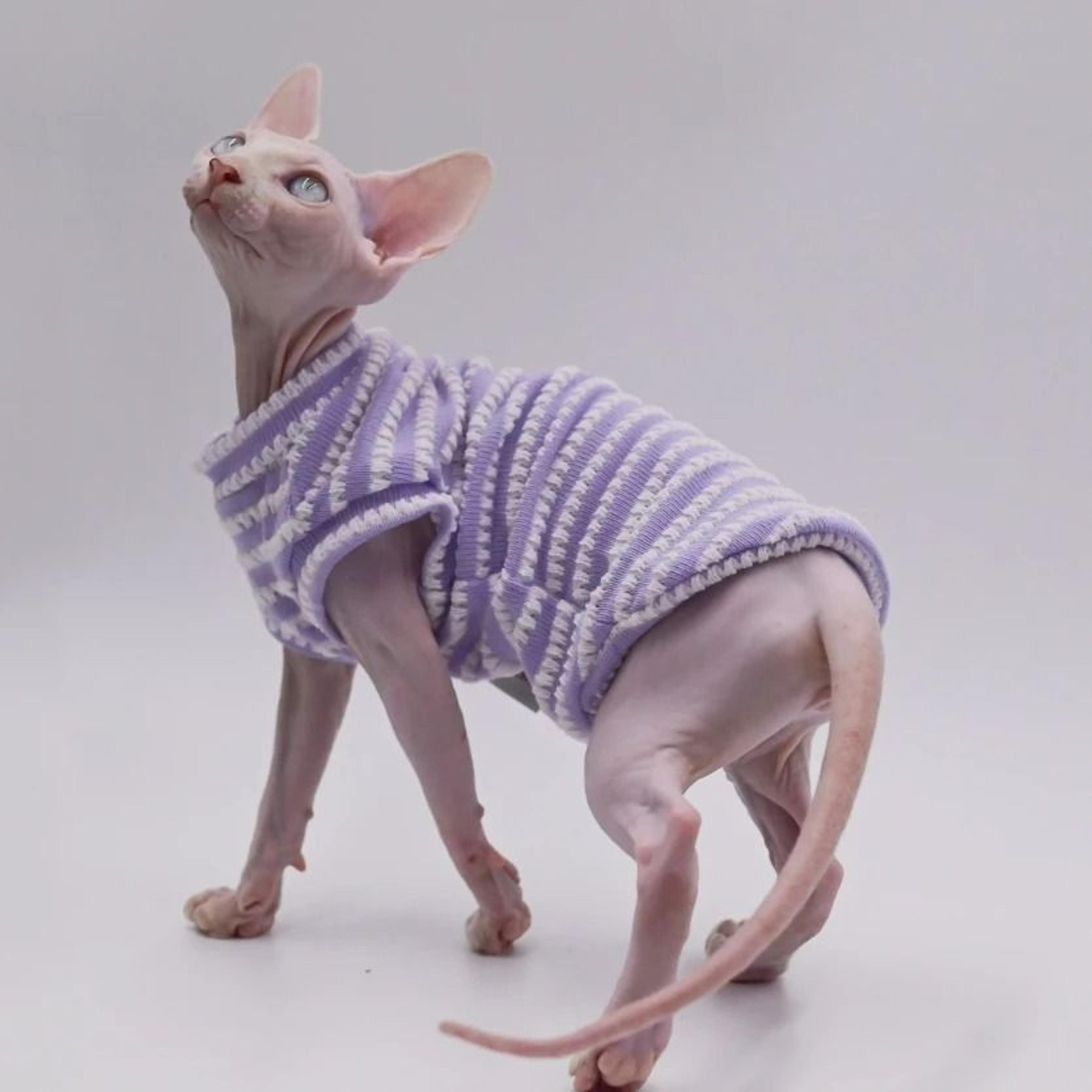Premium Breathable Cotton Sphynx Cat Clothes  SkinFriendly Hairless Cat Vest 1