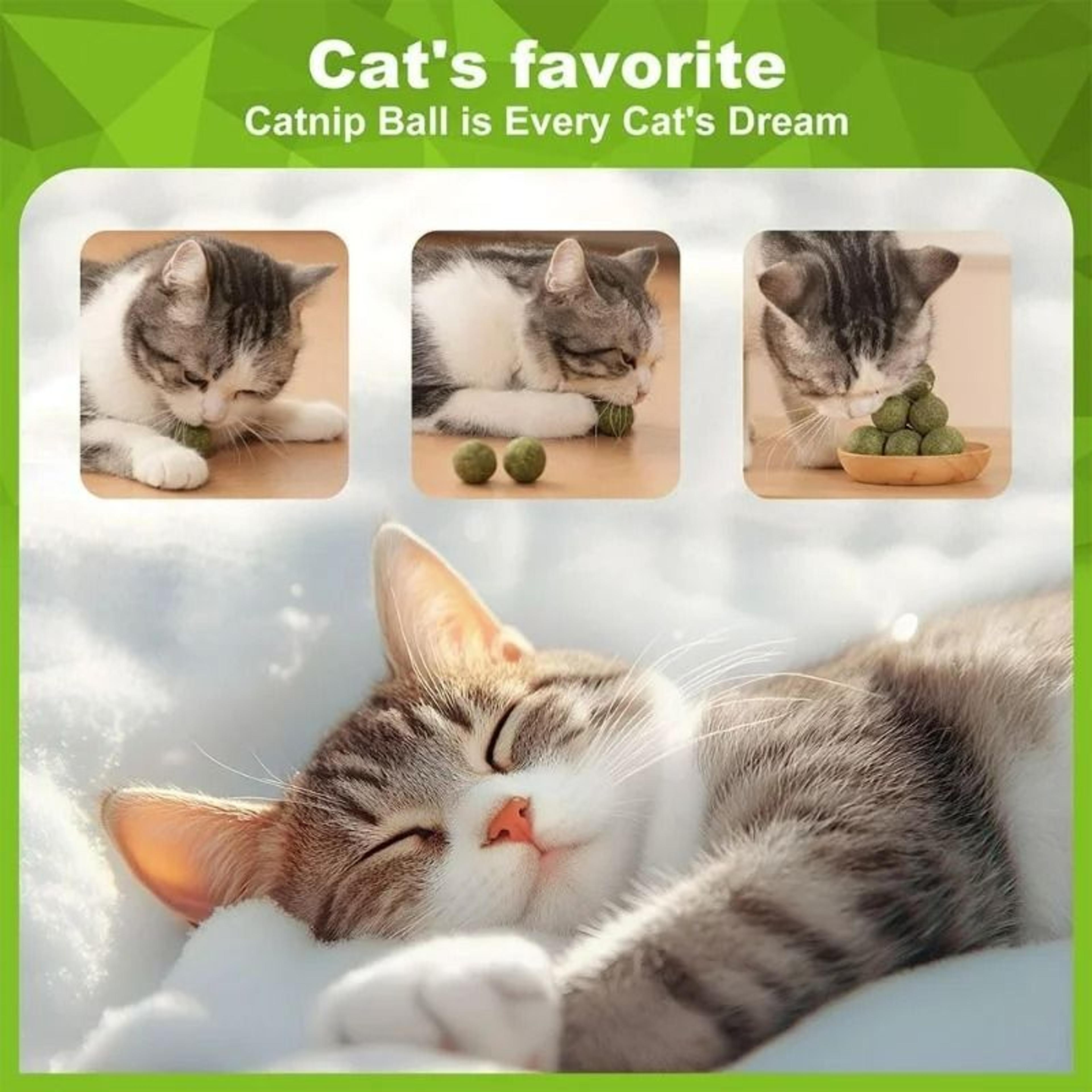5Piece Natural Catnip Lick Ball Set 3