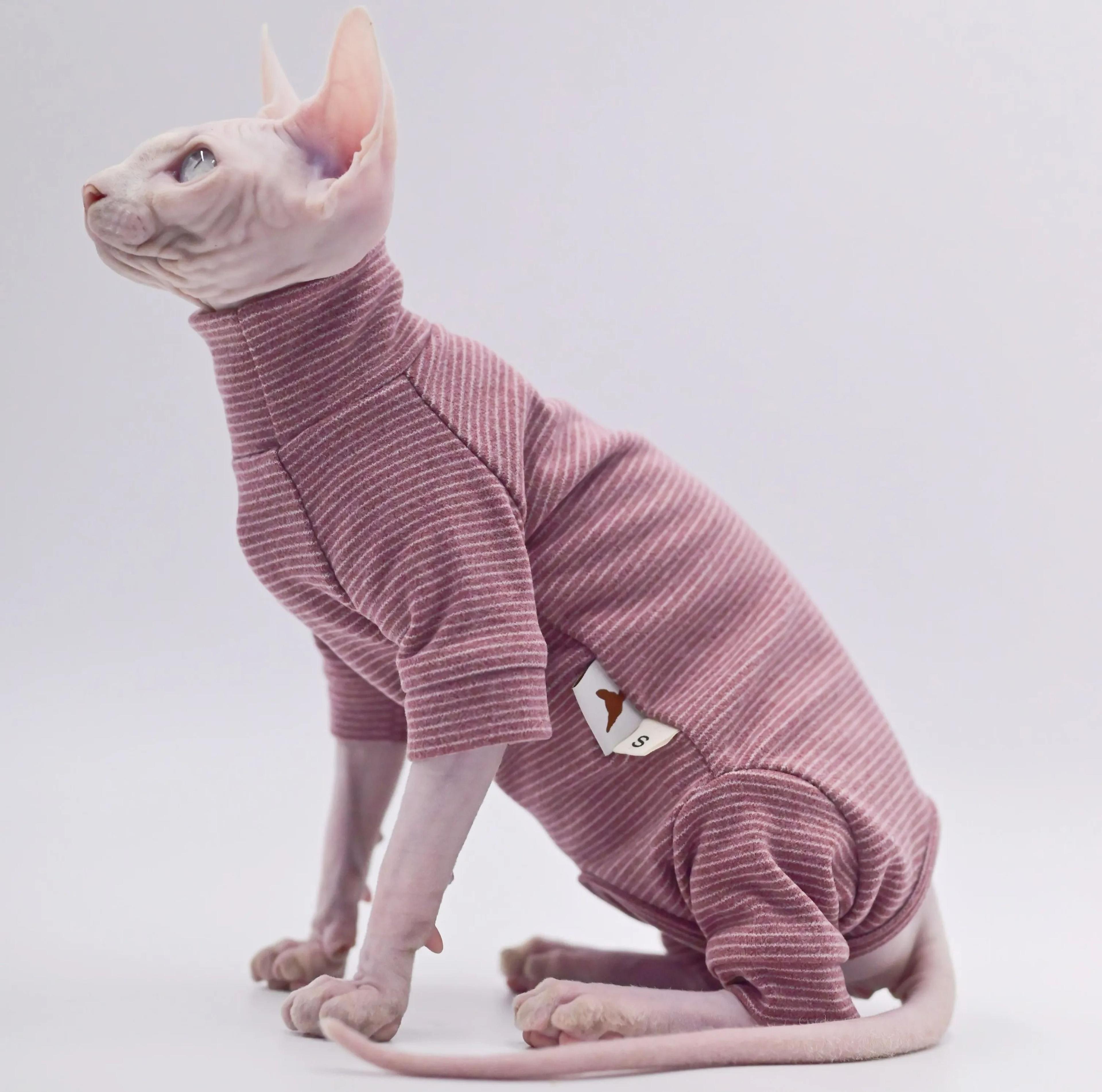 FourLegged Hairless Cat Winter Hoodie 4