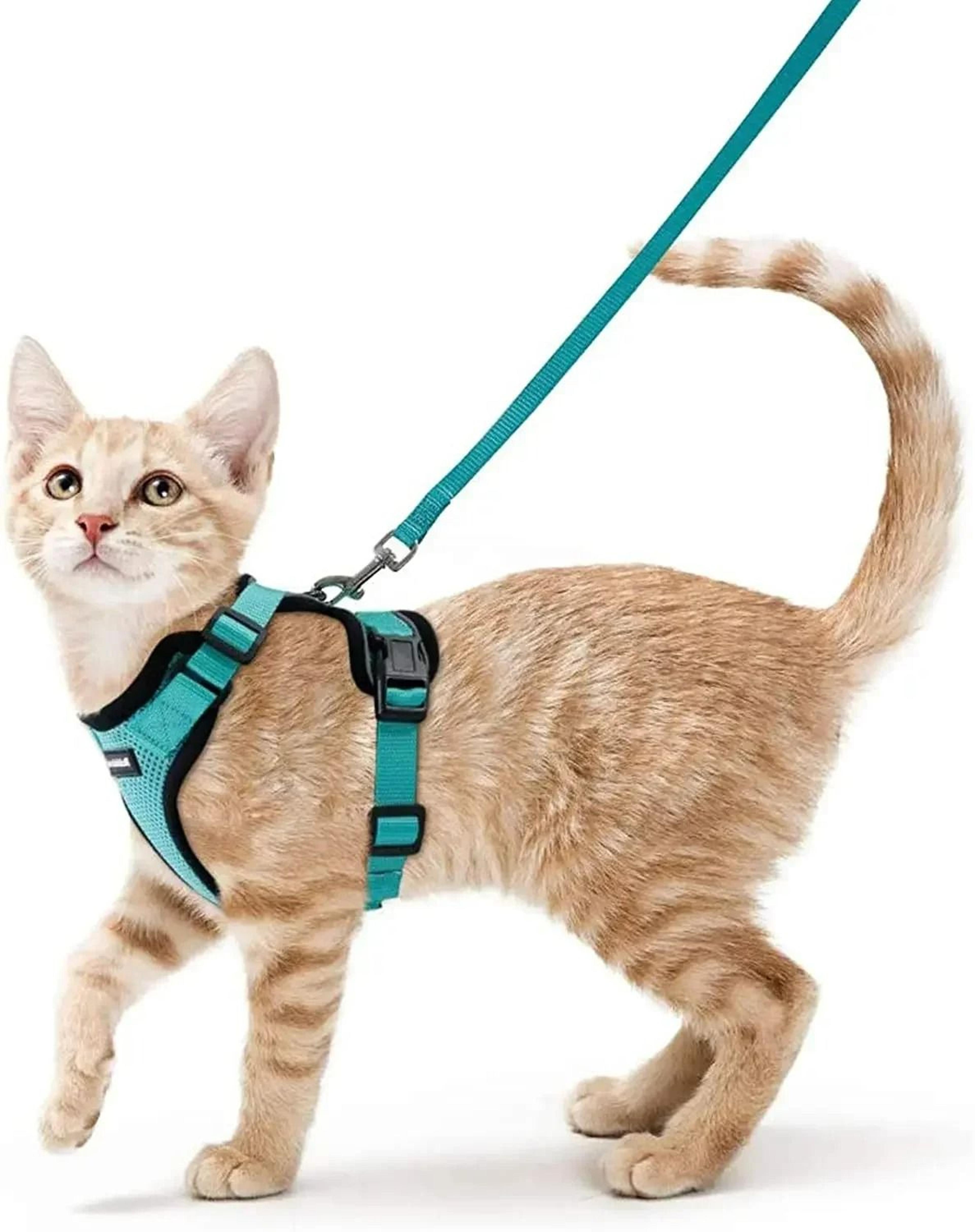 Escape Proof Soft Adjustable Vest Harness 11