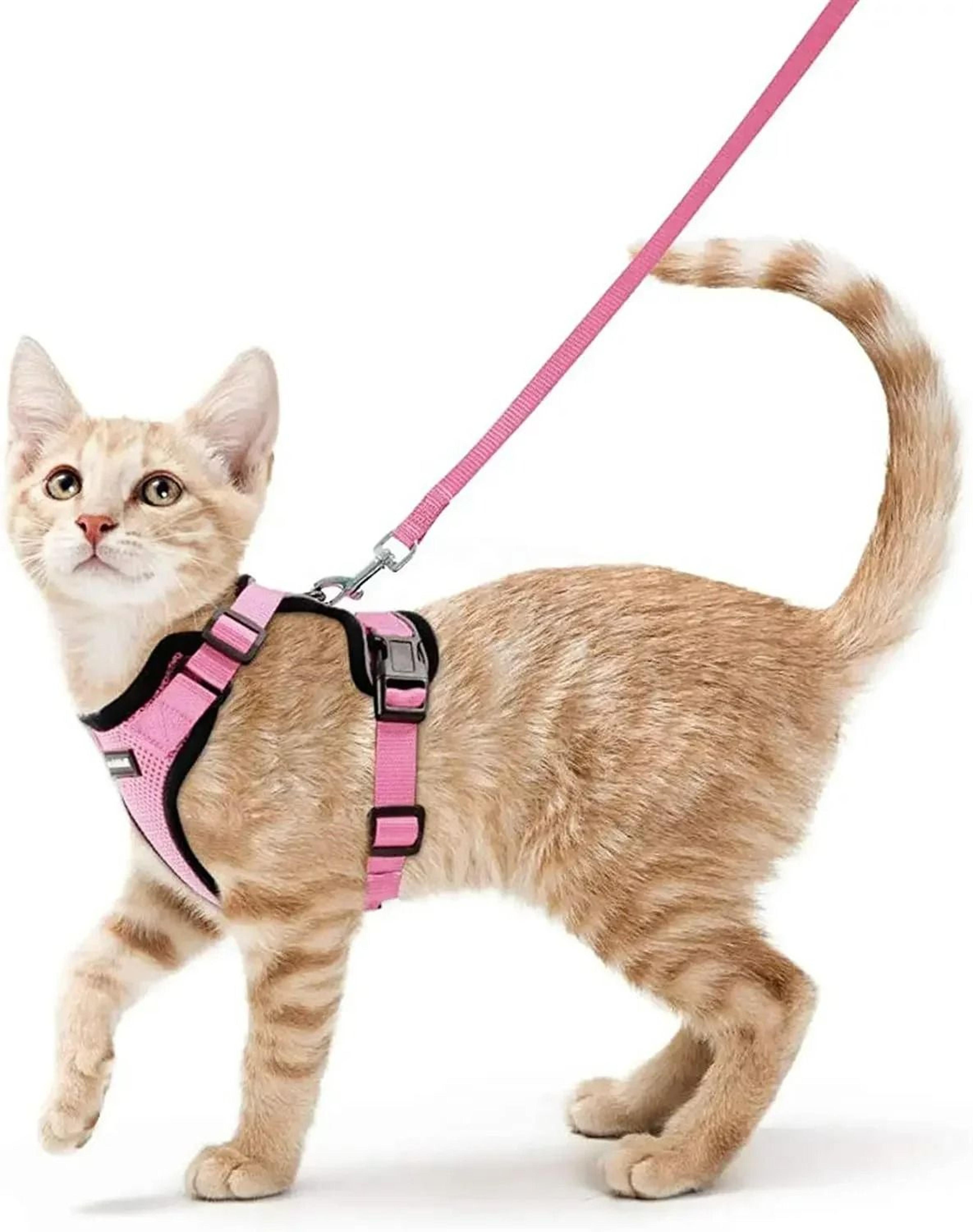Escape Proof Soft Adjustable Vest Harness 14