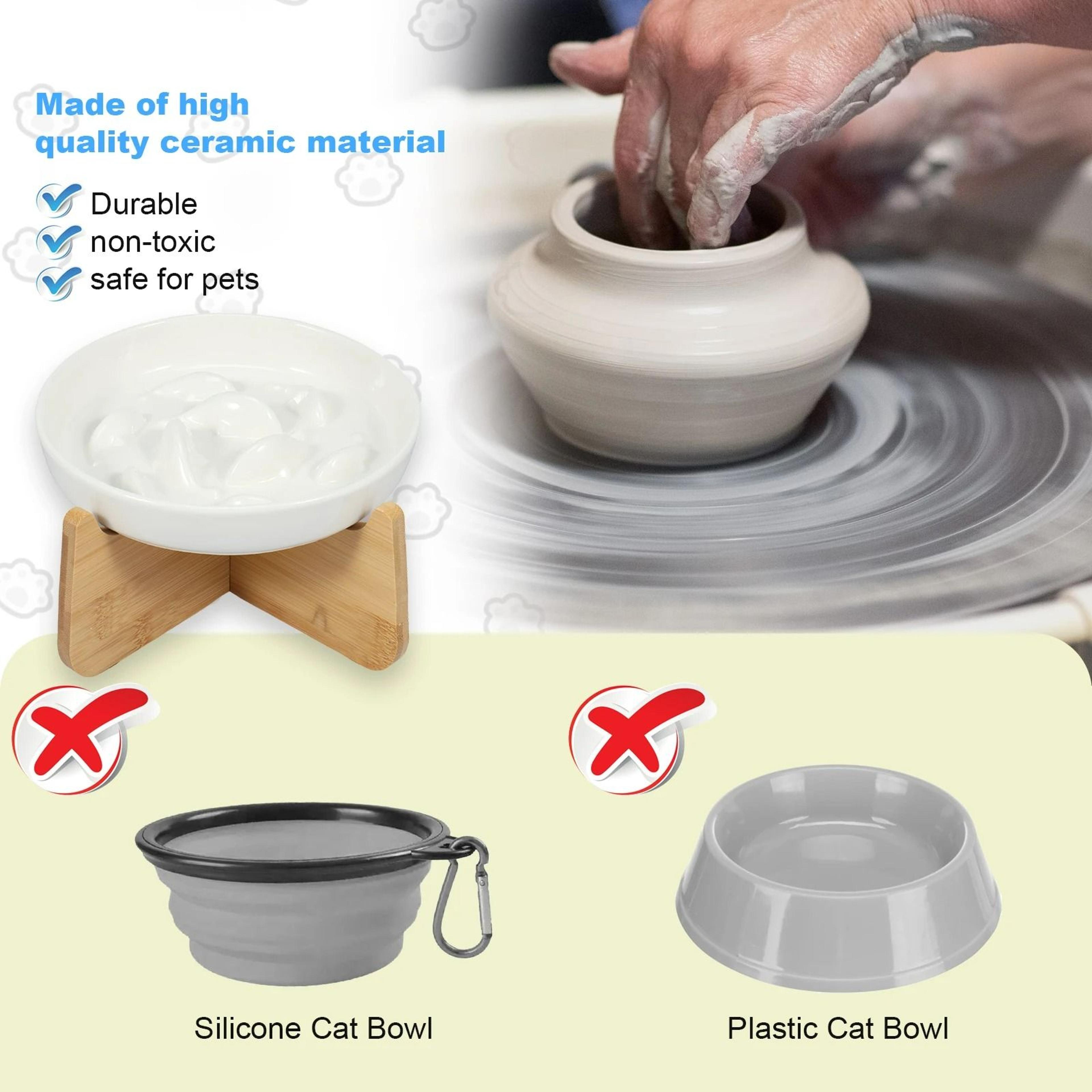 Elevated Ceramic AntiVomiting Cat Bowl 5
