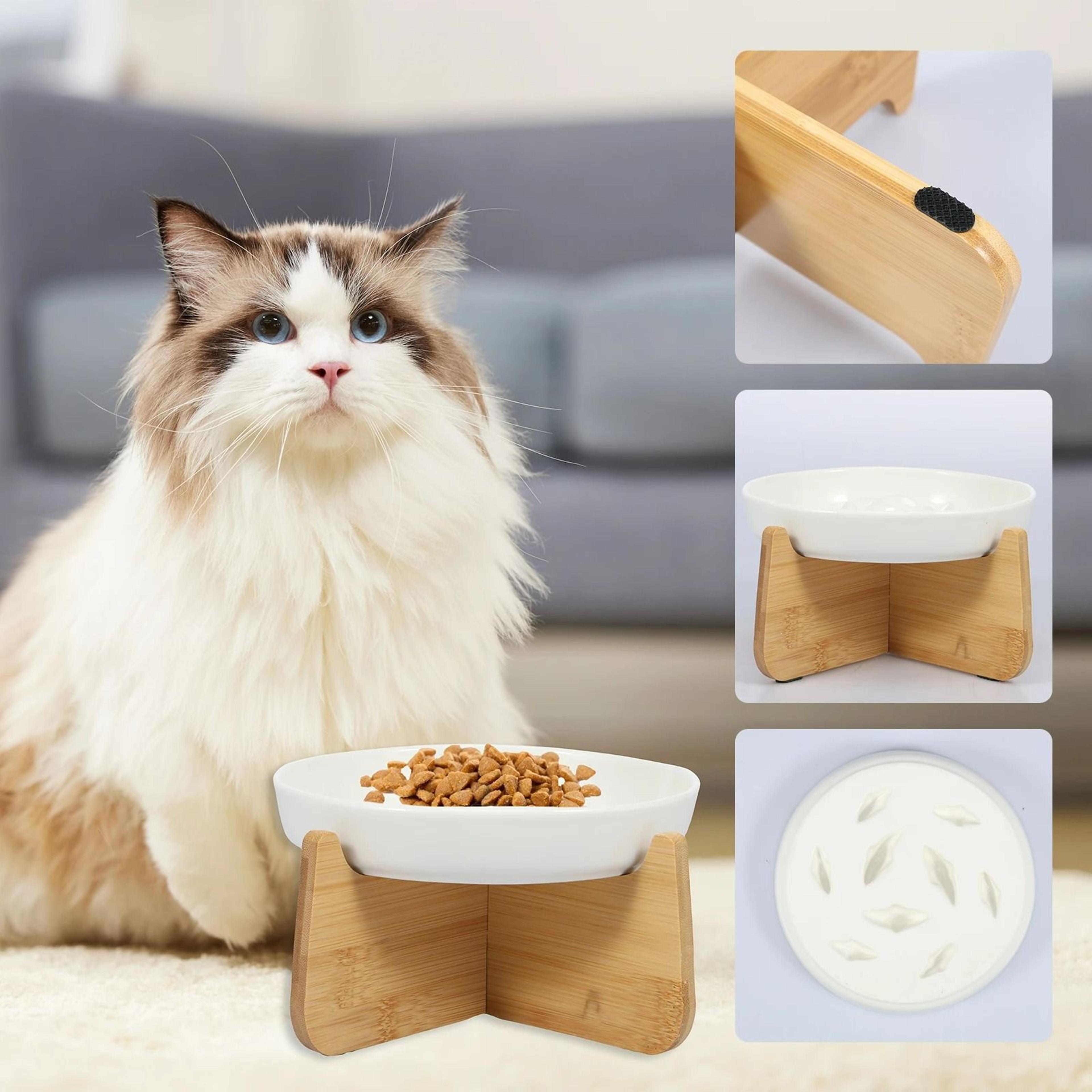 Elevated Ceramic AntiVomiting Cat Bowl 6