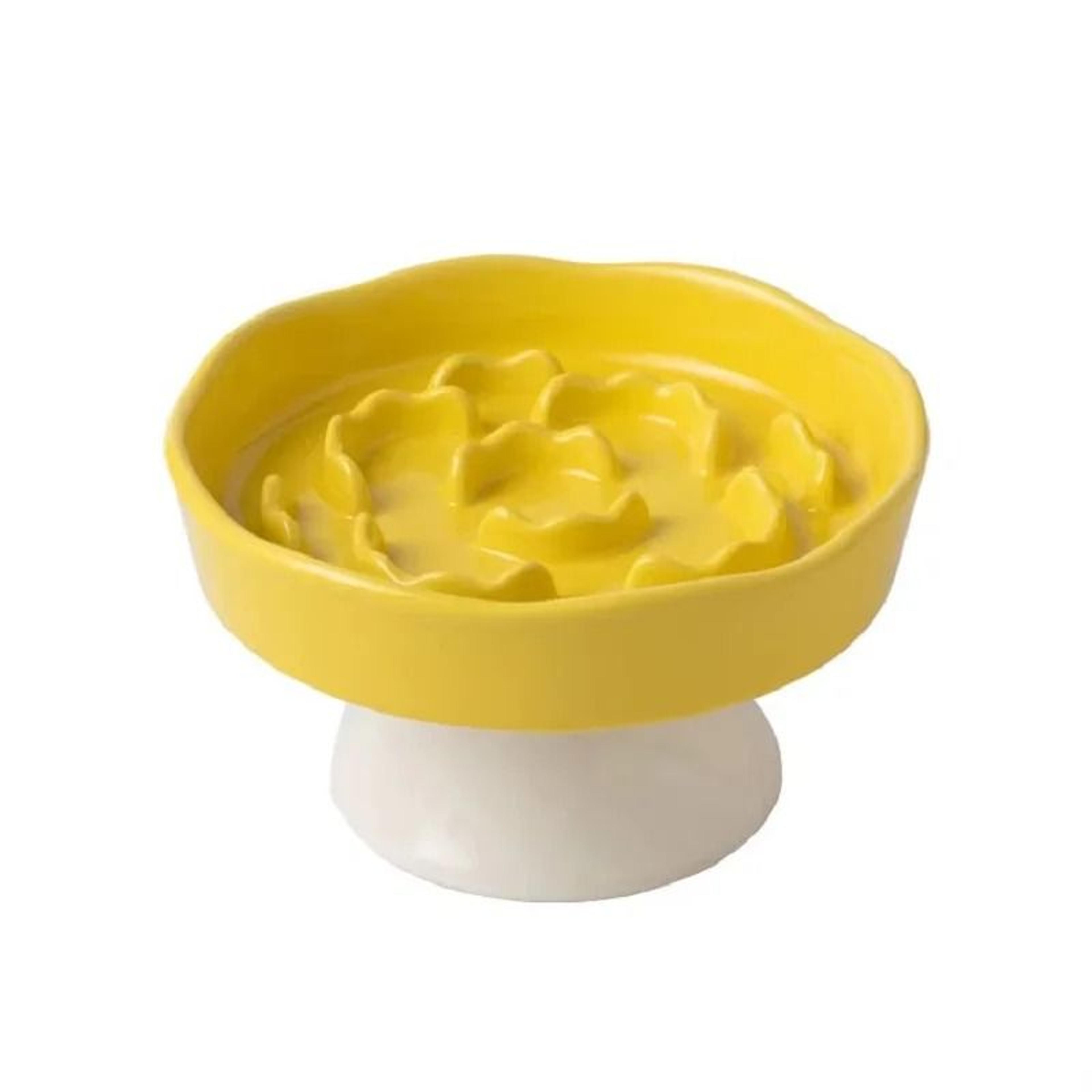 Elevated Ceramic SlowFeeding Cat Bowl 5