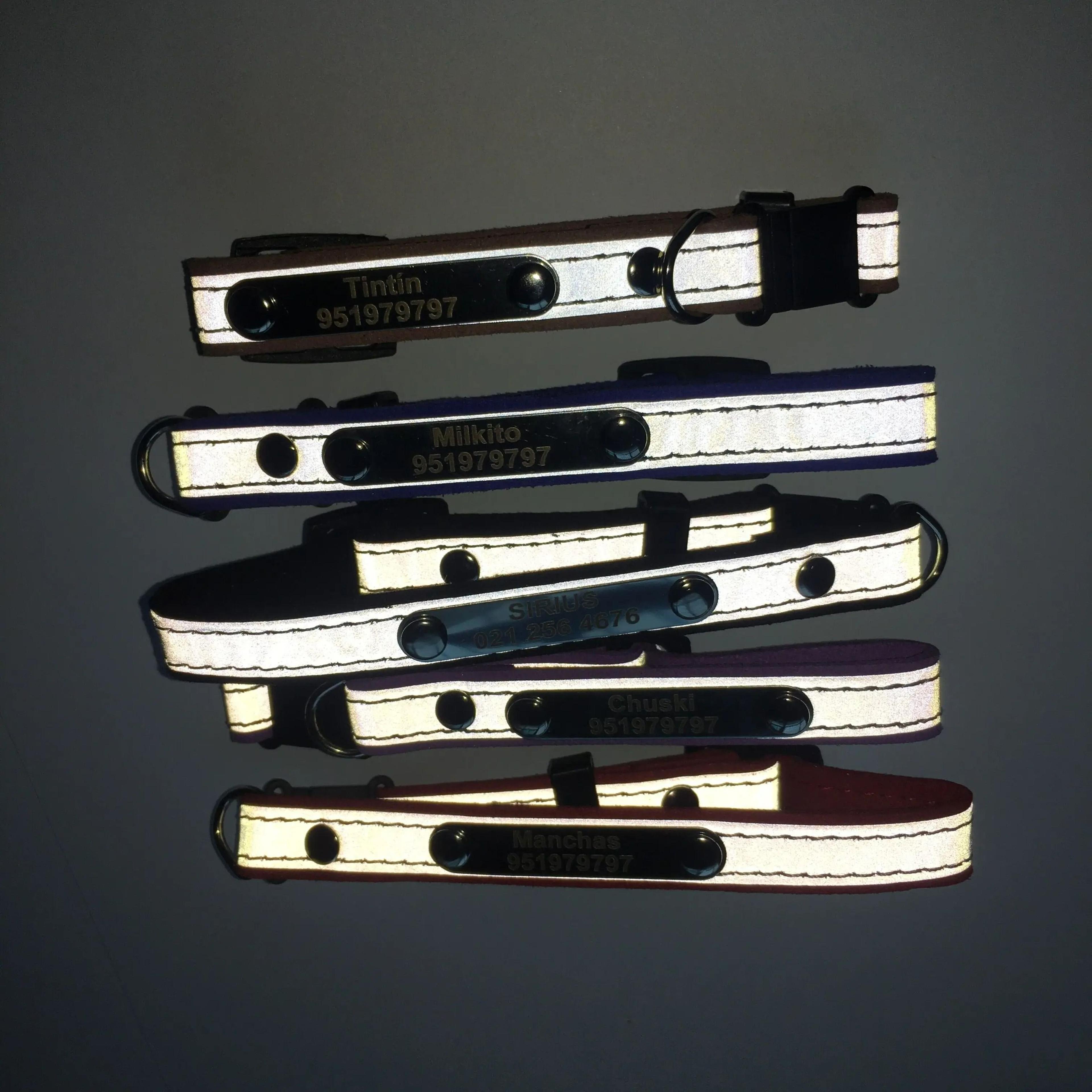 Reflective Personalized Kitten ID Collar 3