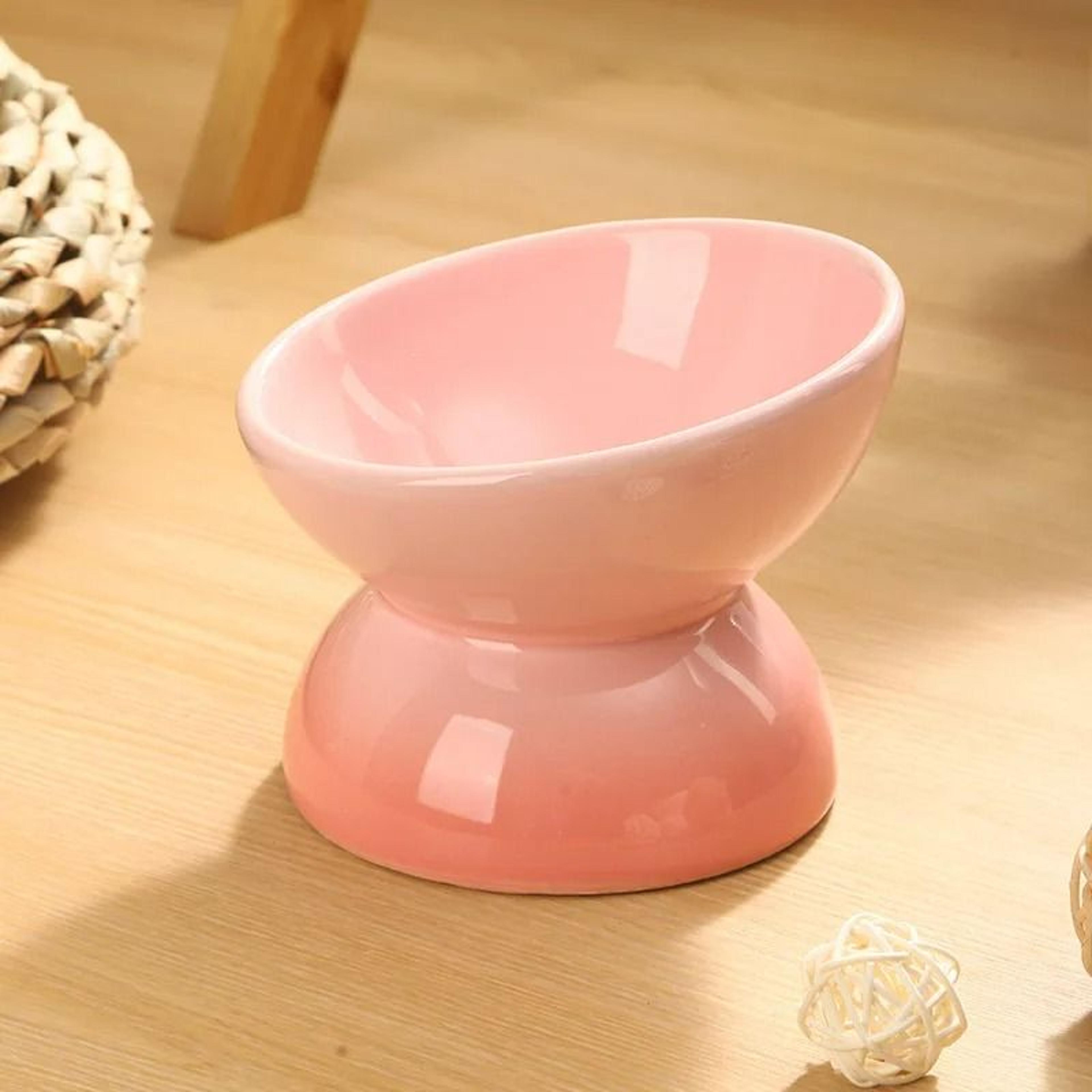 Ceramic Elevated Orthopedic Cat Bowl 10