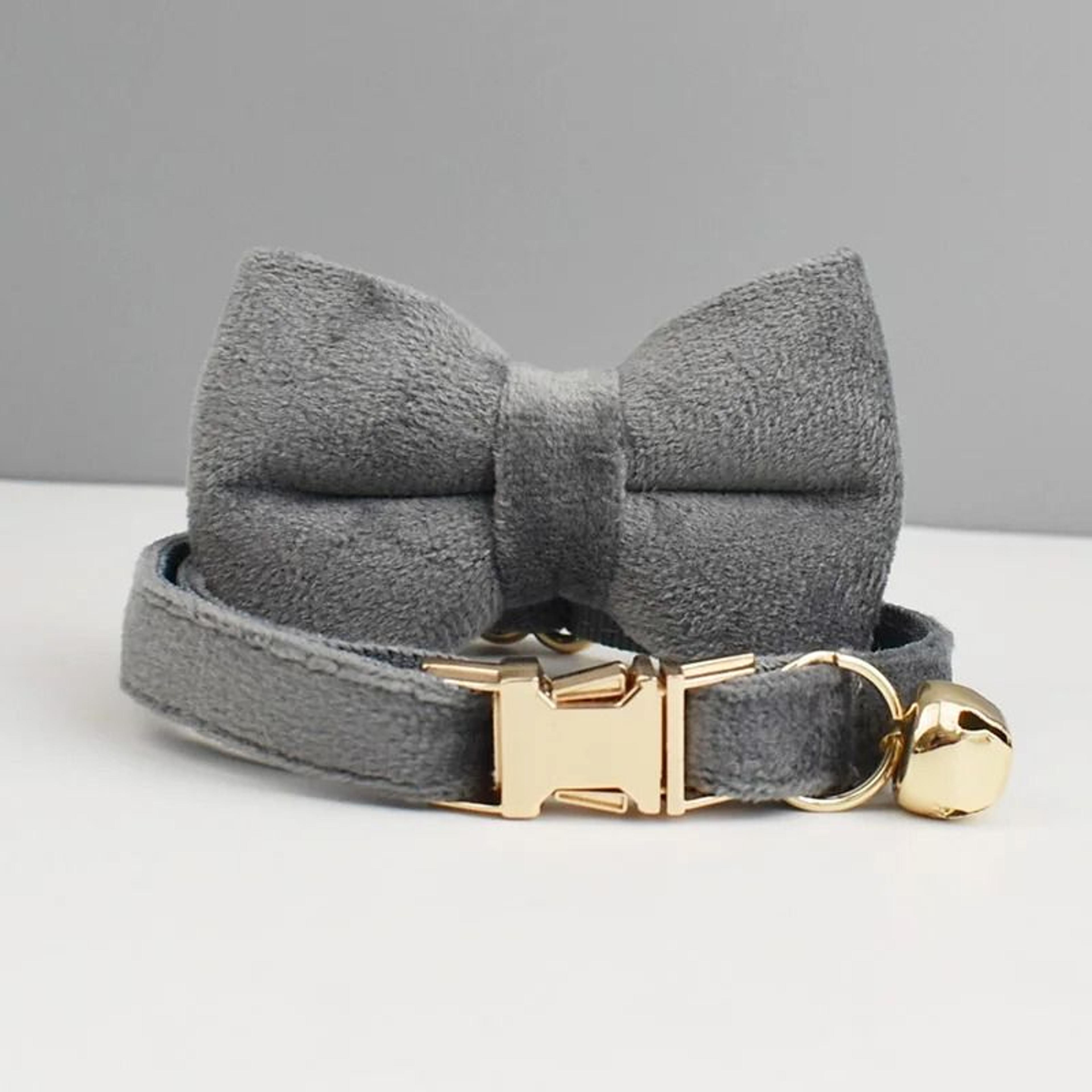 Personalized Luxury Velvet Cat Collar Set 12