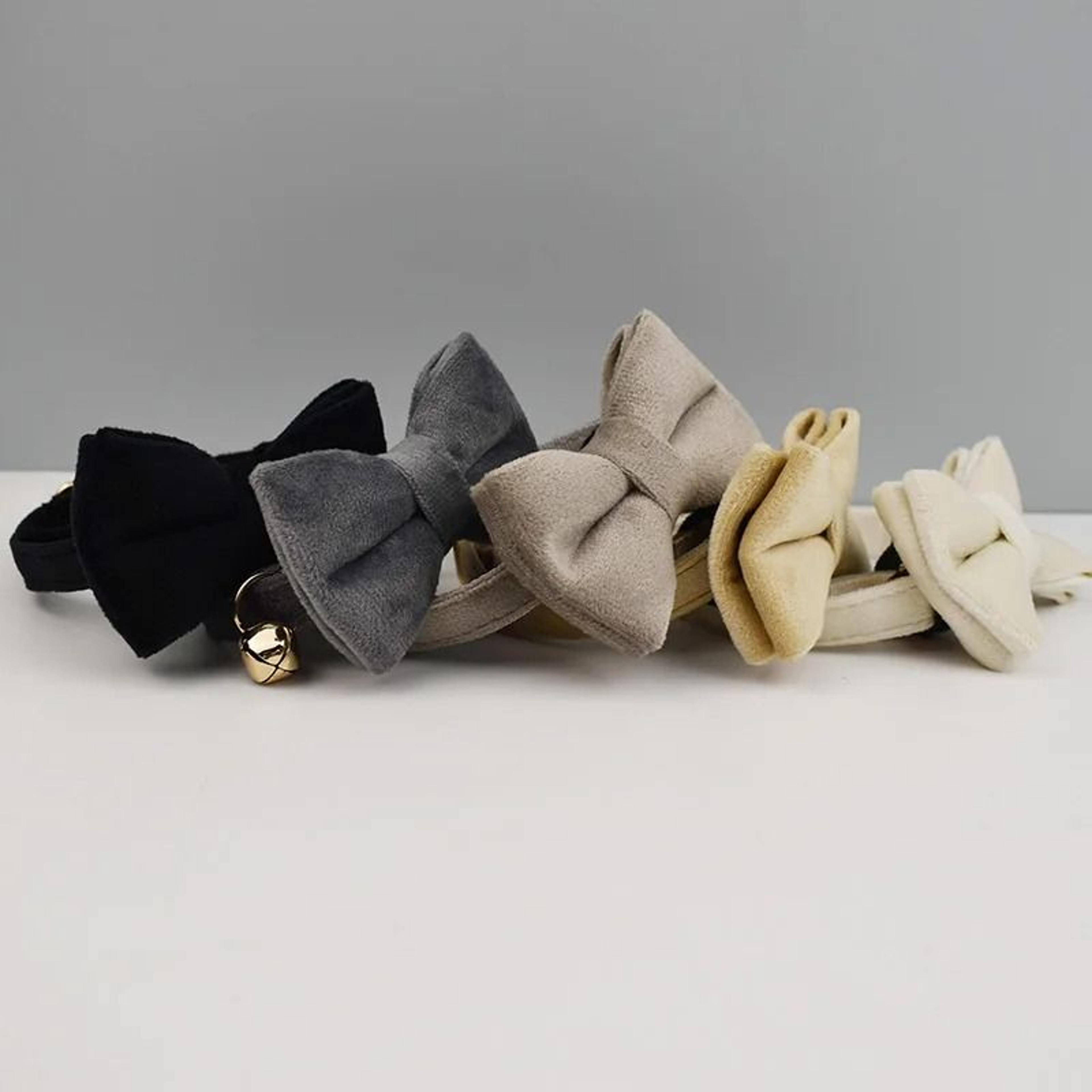 Personalized Luxury Velvet Cat Collar Set 4