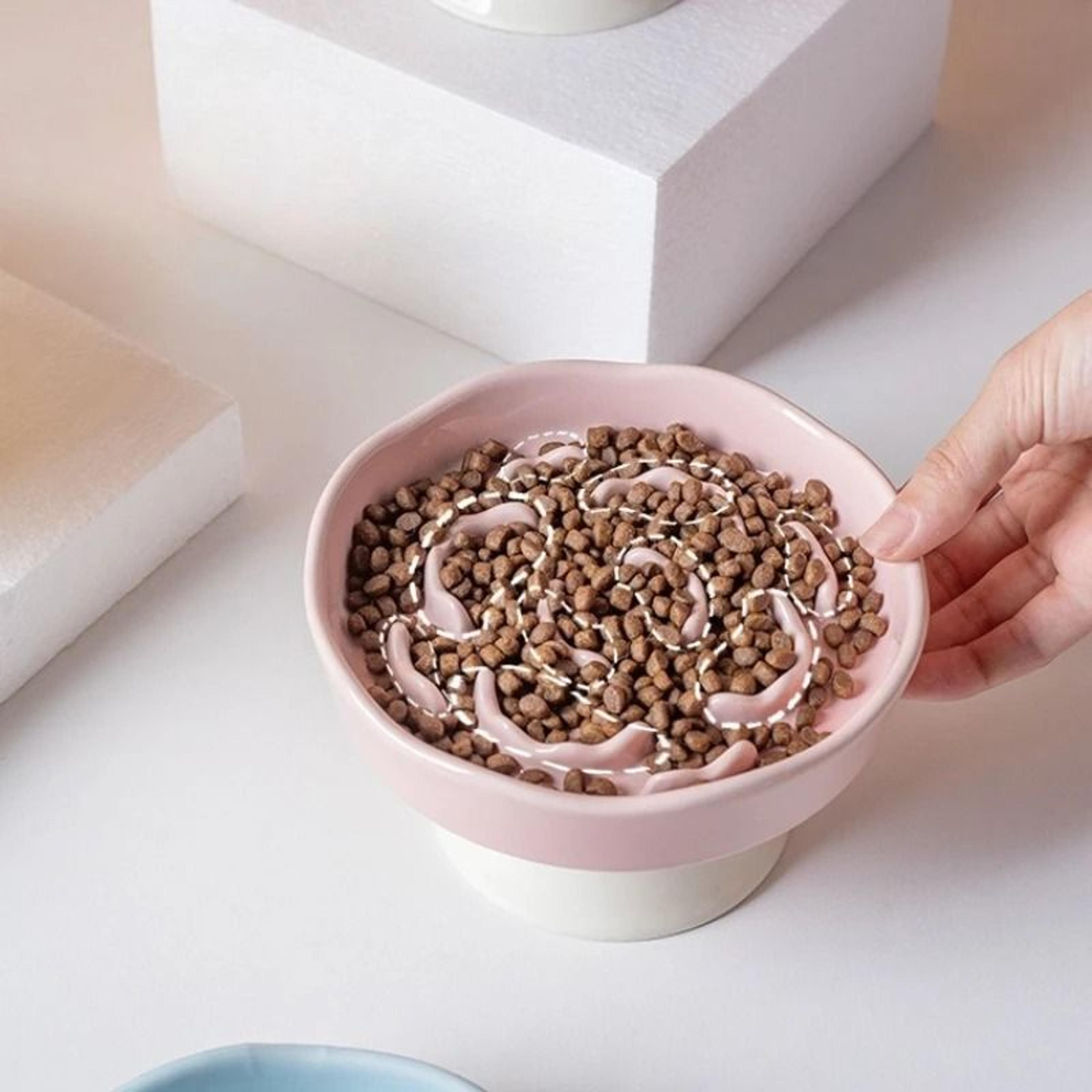 Elevated Ceramic Slow Feeder Cat Bowl 2