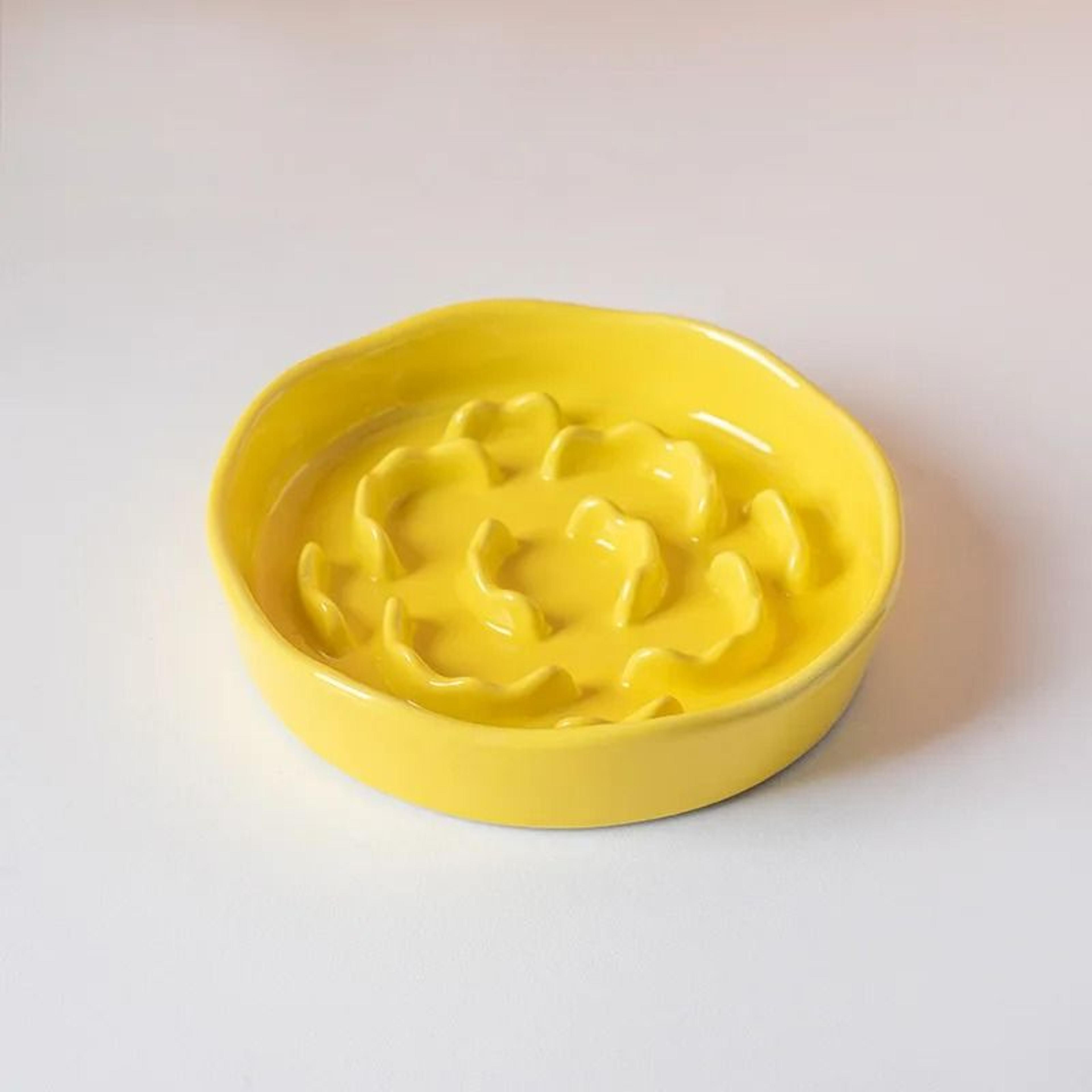 Elevated Ceramic Slow Feeder Cat Bowl 5