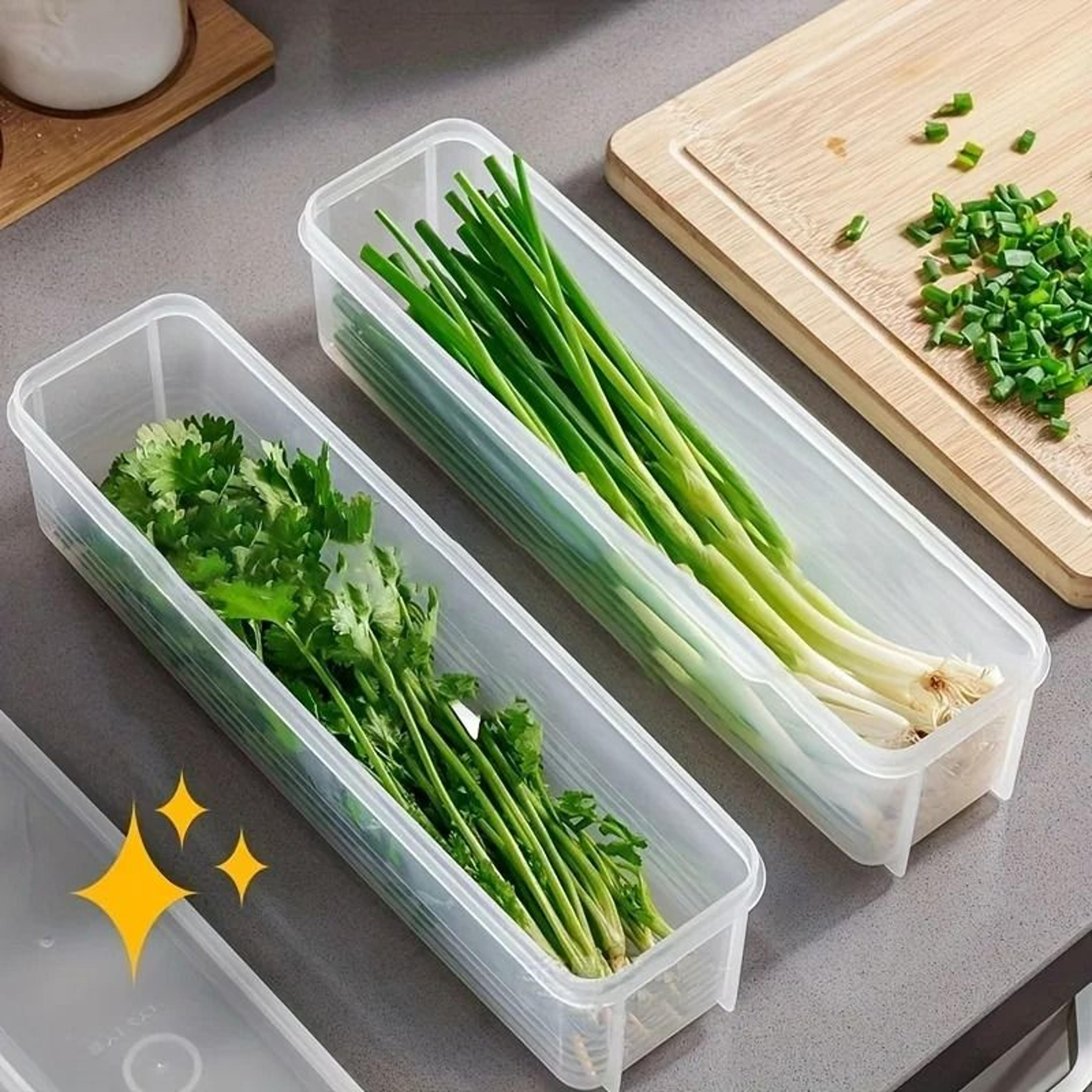 reusable square herb preservation clamshell and food crisper