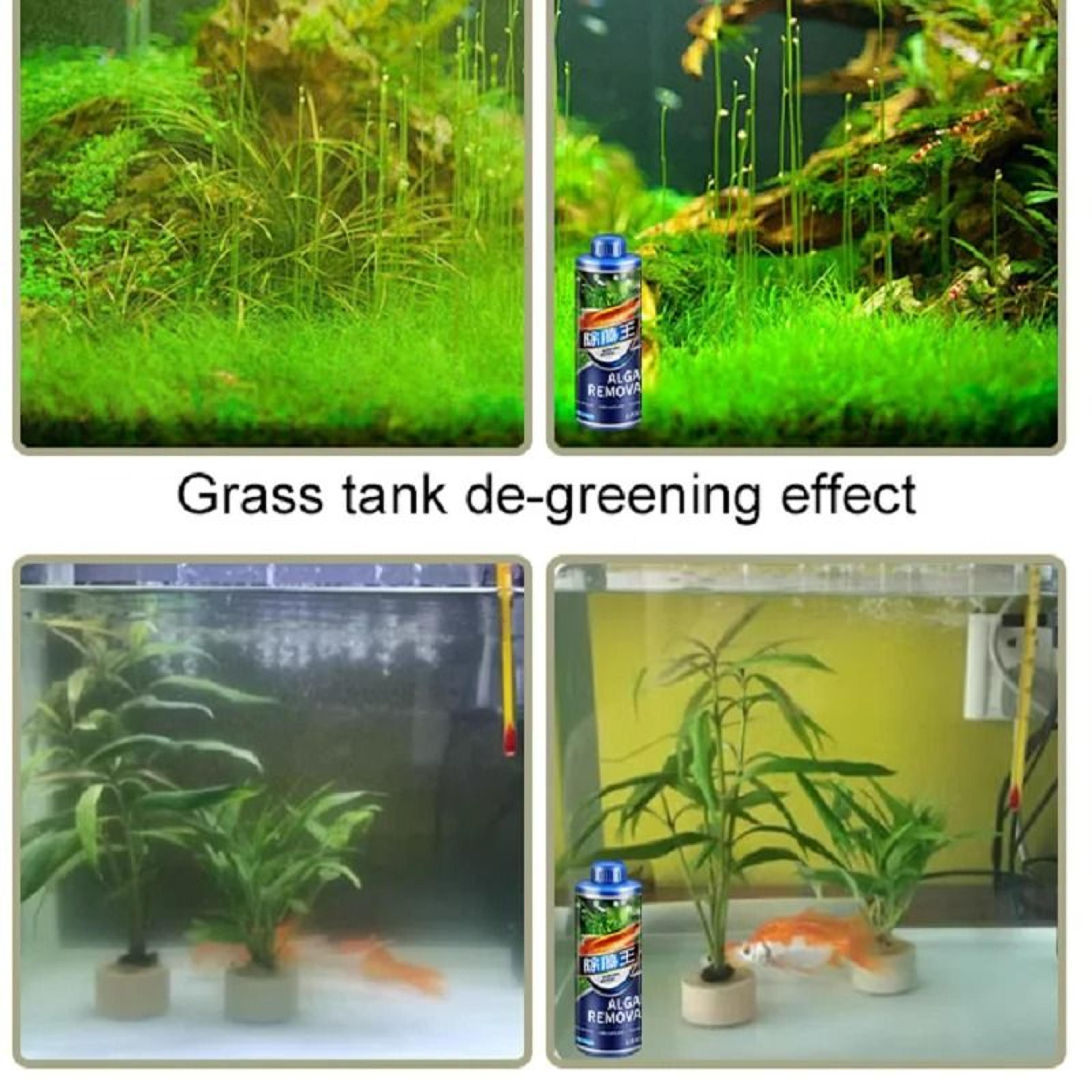 Aquarium Algaecide  EcoSafe Water Clarifying Cleaner 5