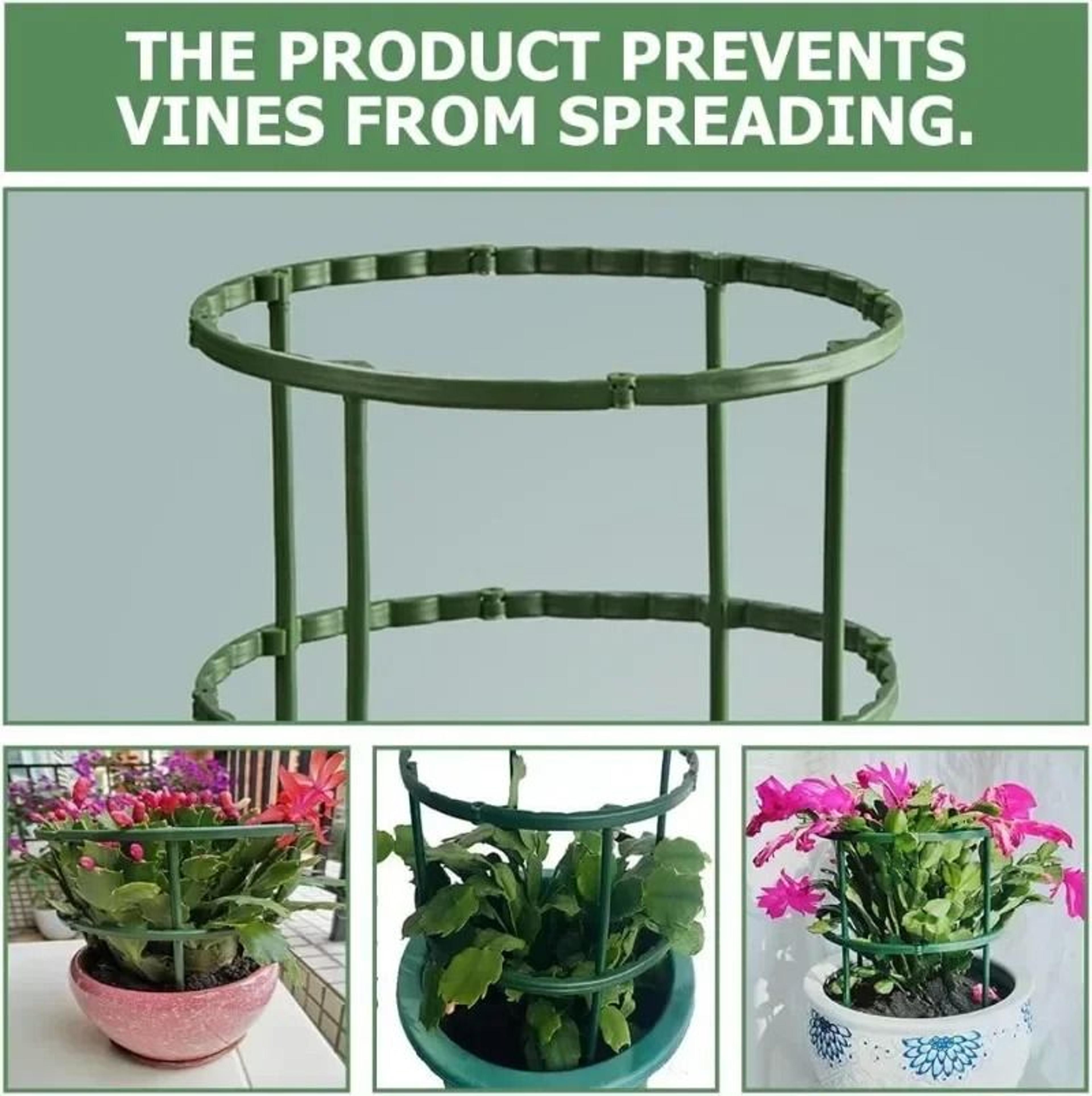Stackable Semicircle Indoor Plant Support Trellis 5