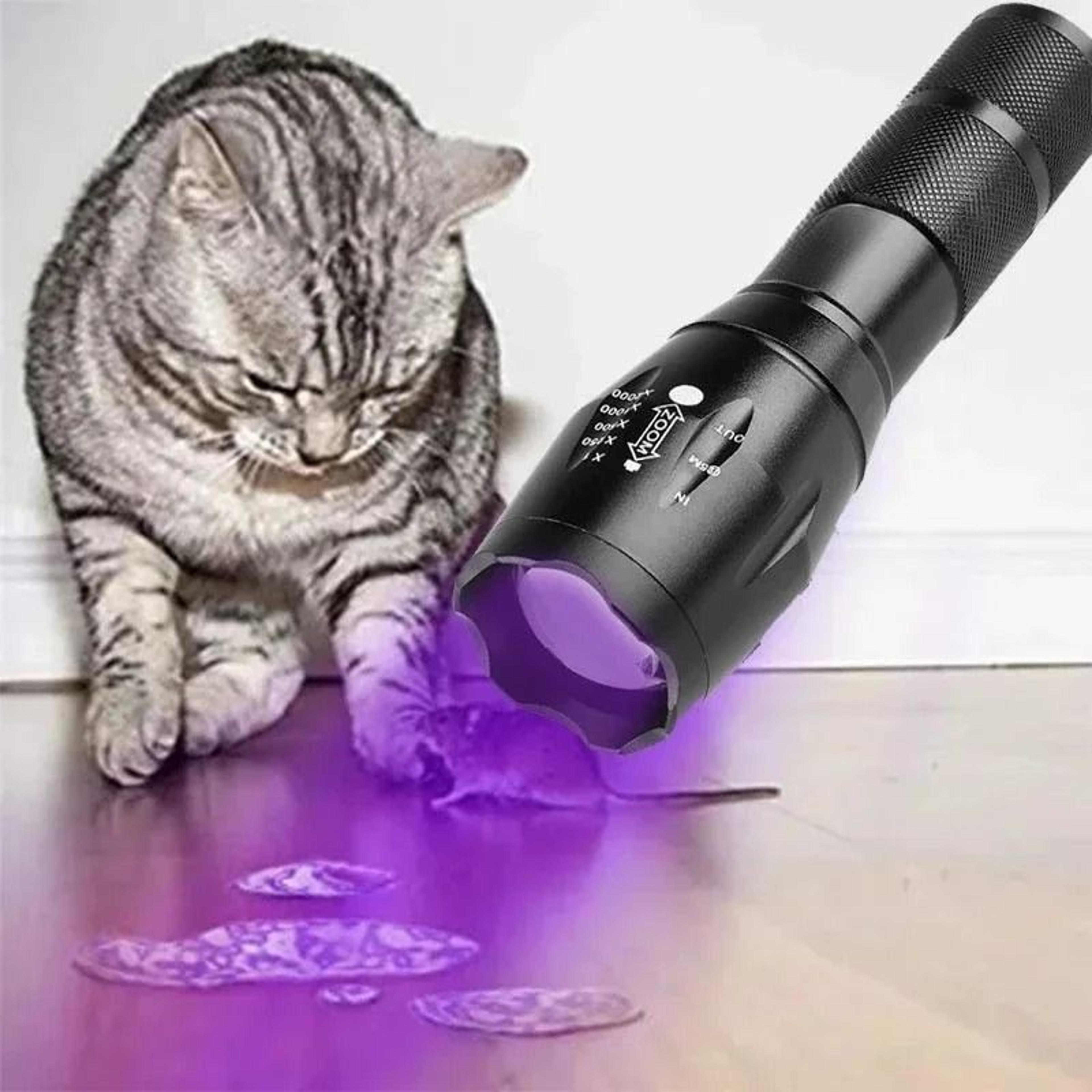 DualSpectrum Pocket UV Inspection Flashlight 2