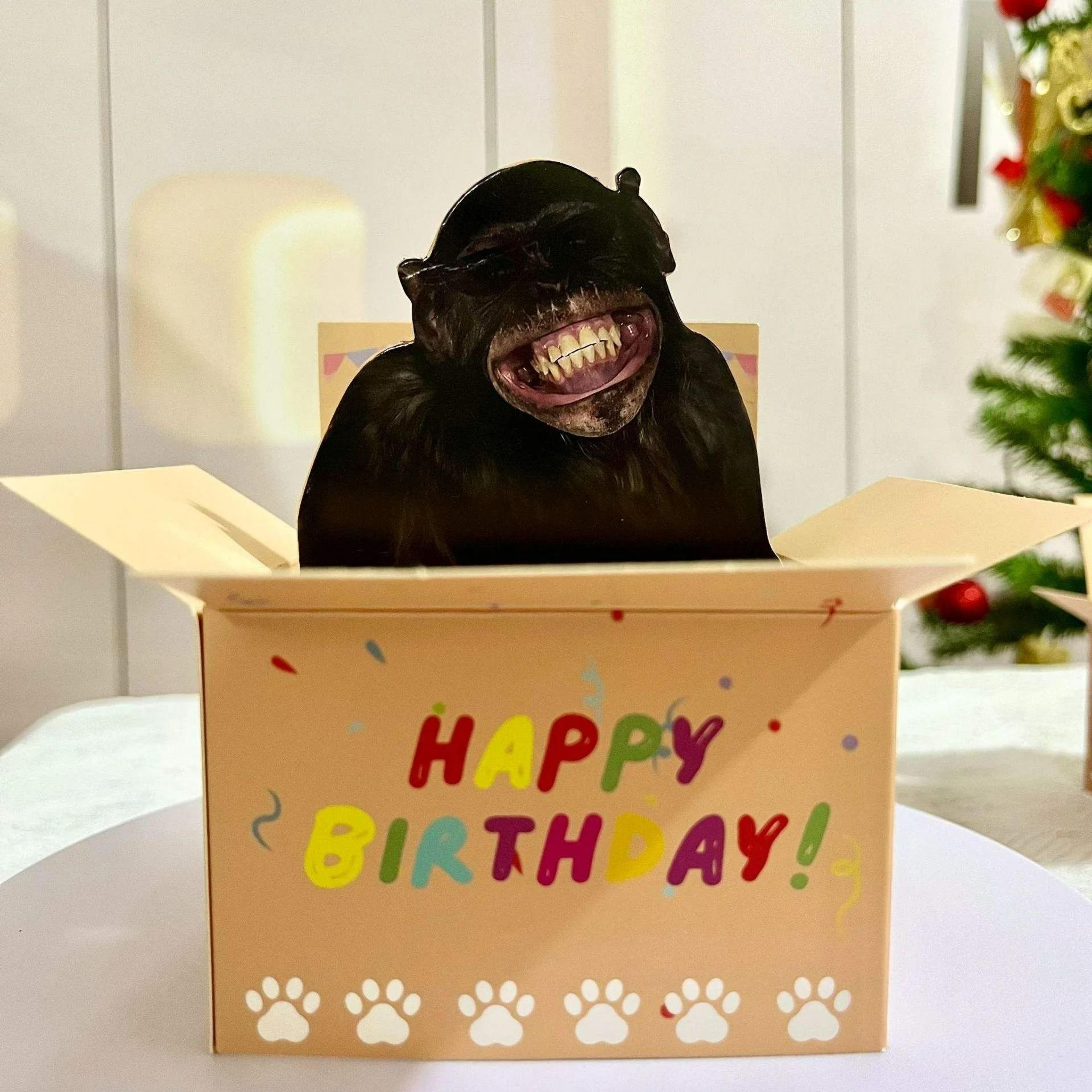 3D Hilarious PopUp Happy Birthday Card 4
