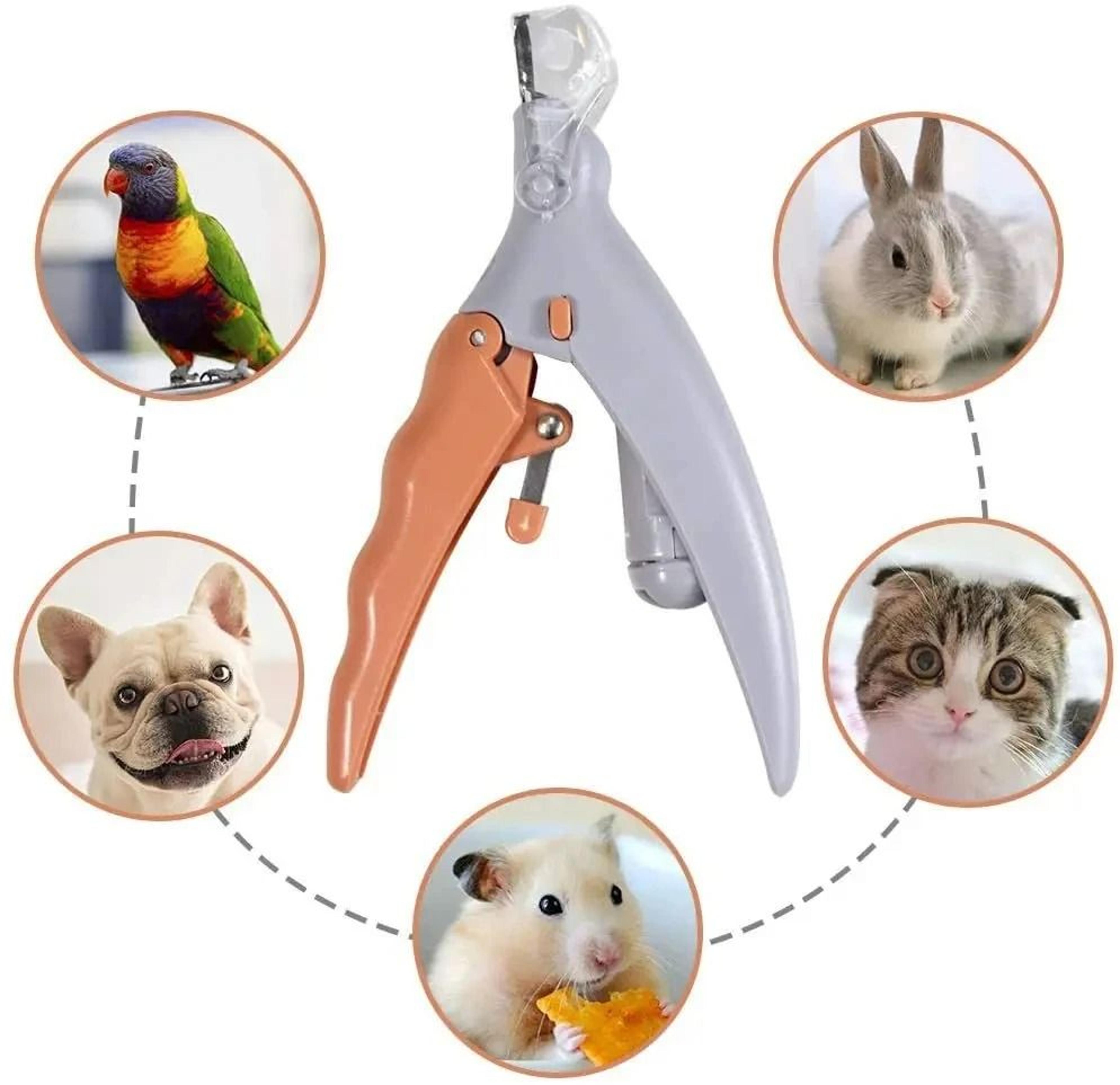 Pet Nail Clippers With LED Light 3