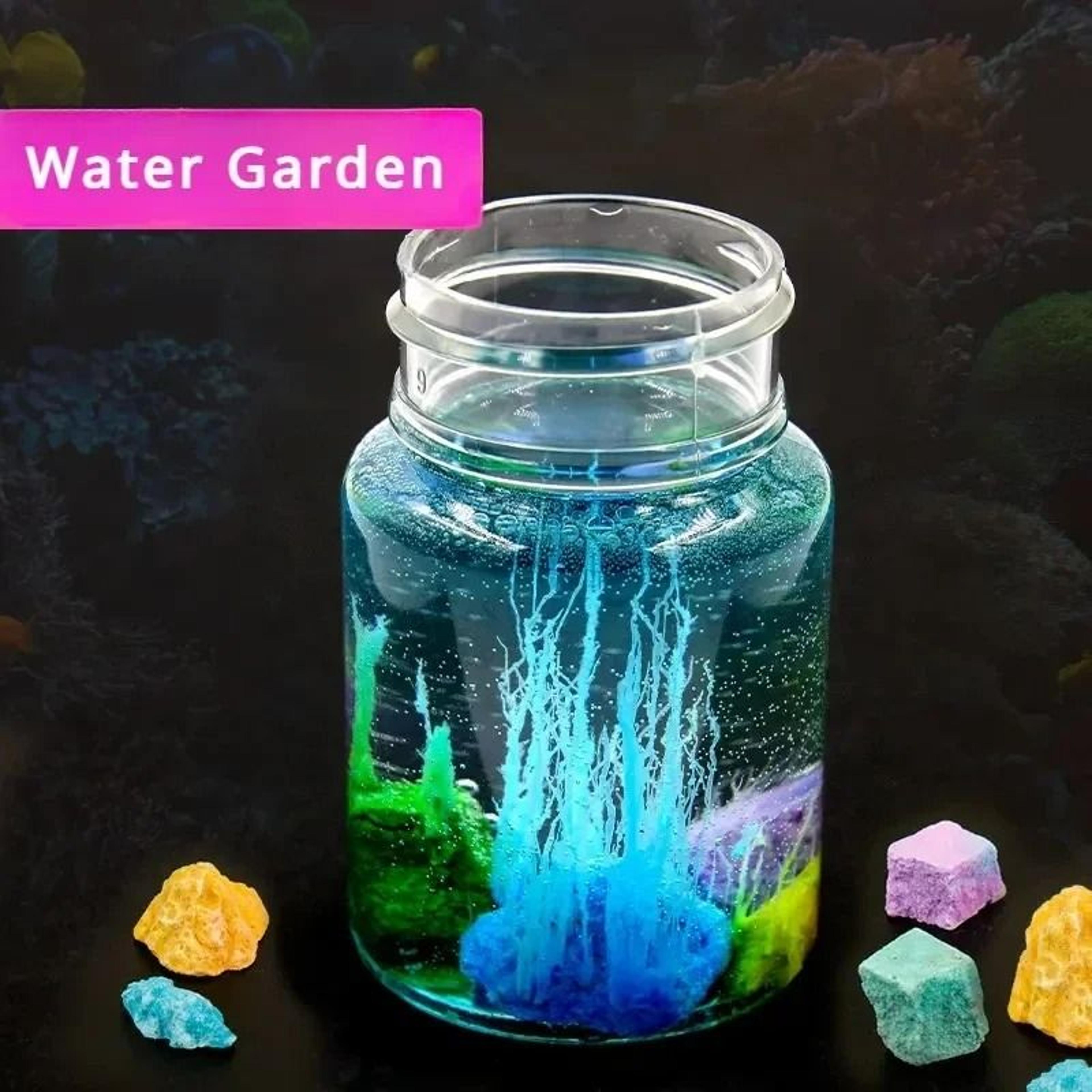 DIY Magic Crystal Garden Science Experiment Kit 1