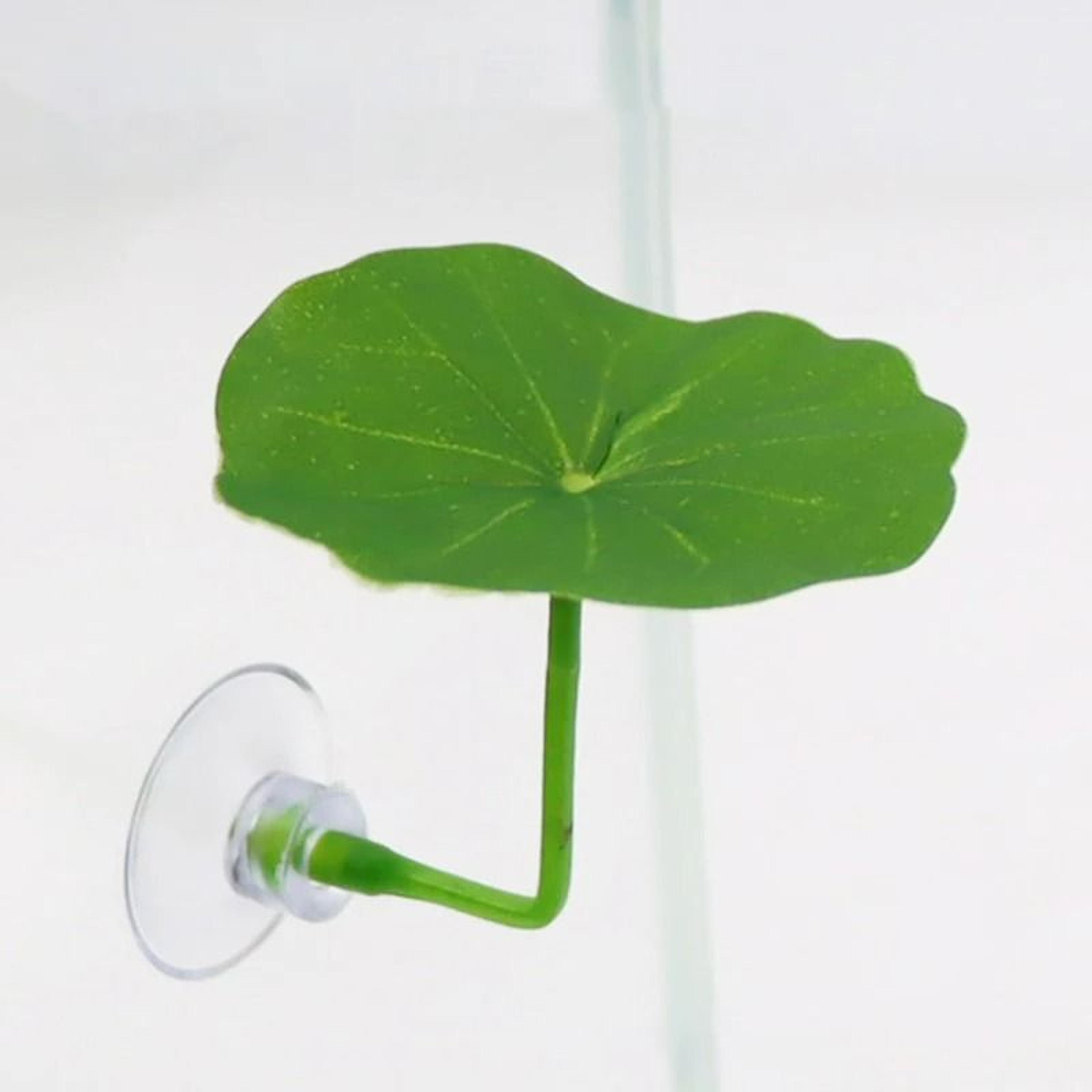 Betta Fish Resting Leaf Hammock With Suction Cup 7