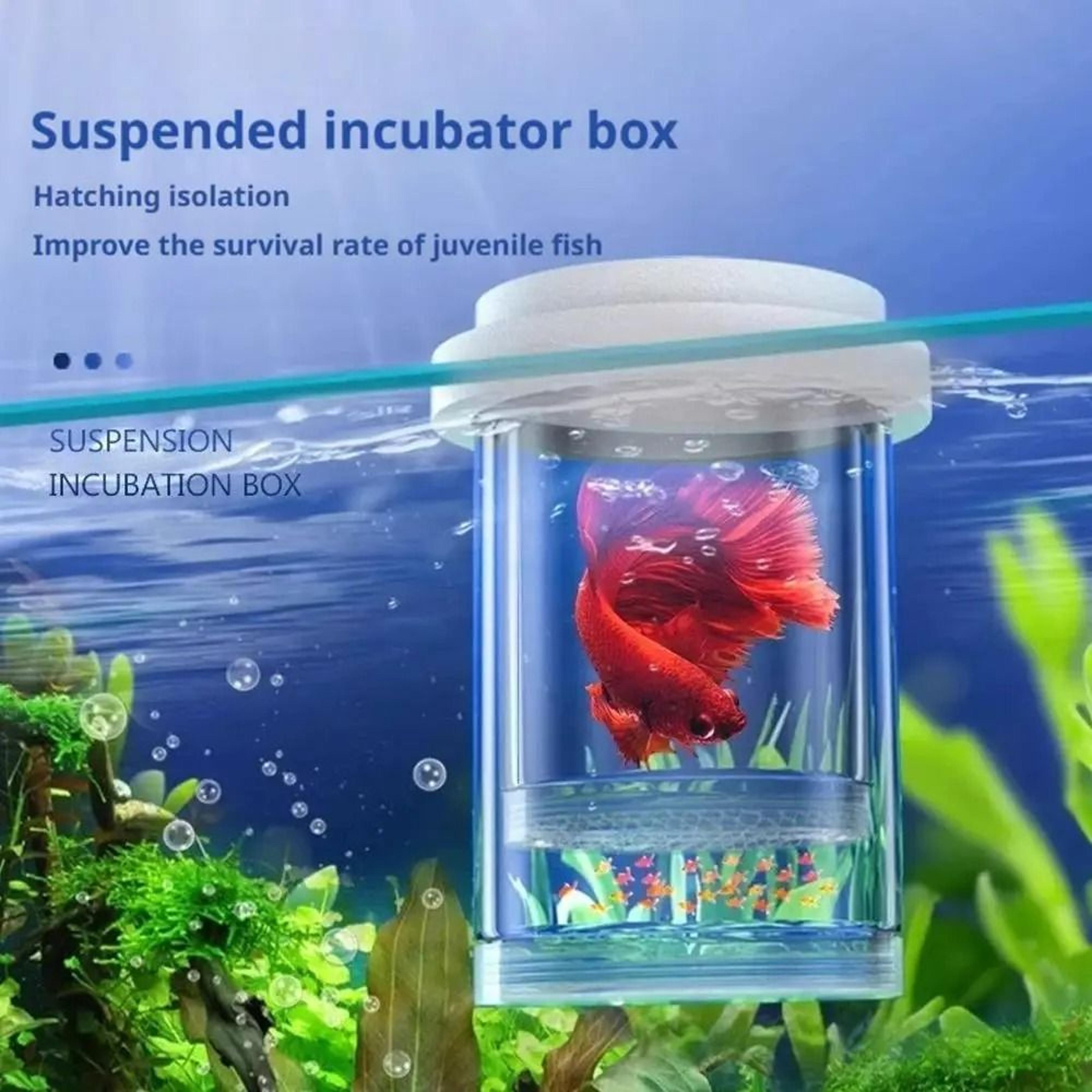 Floating Fish Breeding Isolation Box  Aquarium Hatching Incubator 4