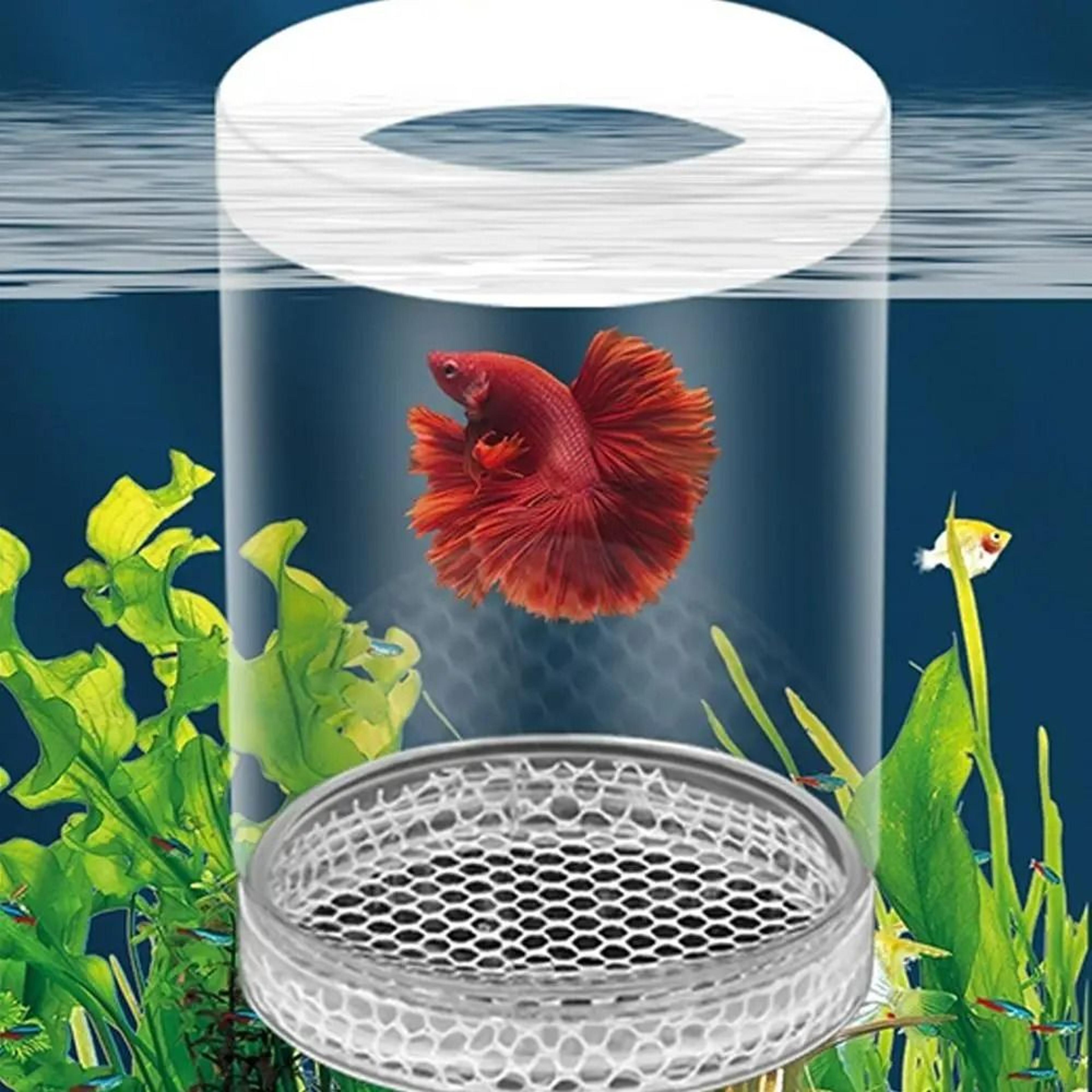 Floating Fish Breeding Isolation Box  Aquarium Hatching Incubator 5