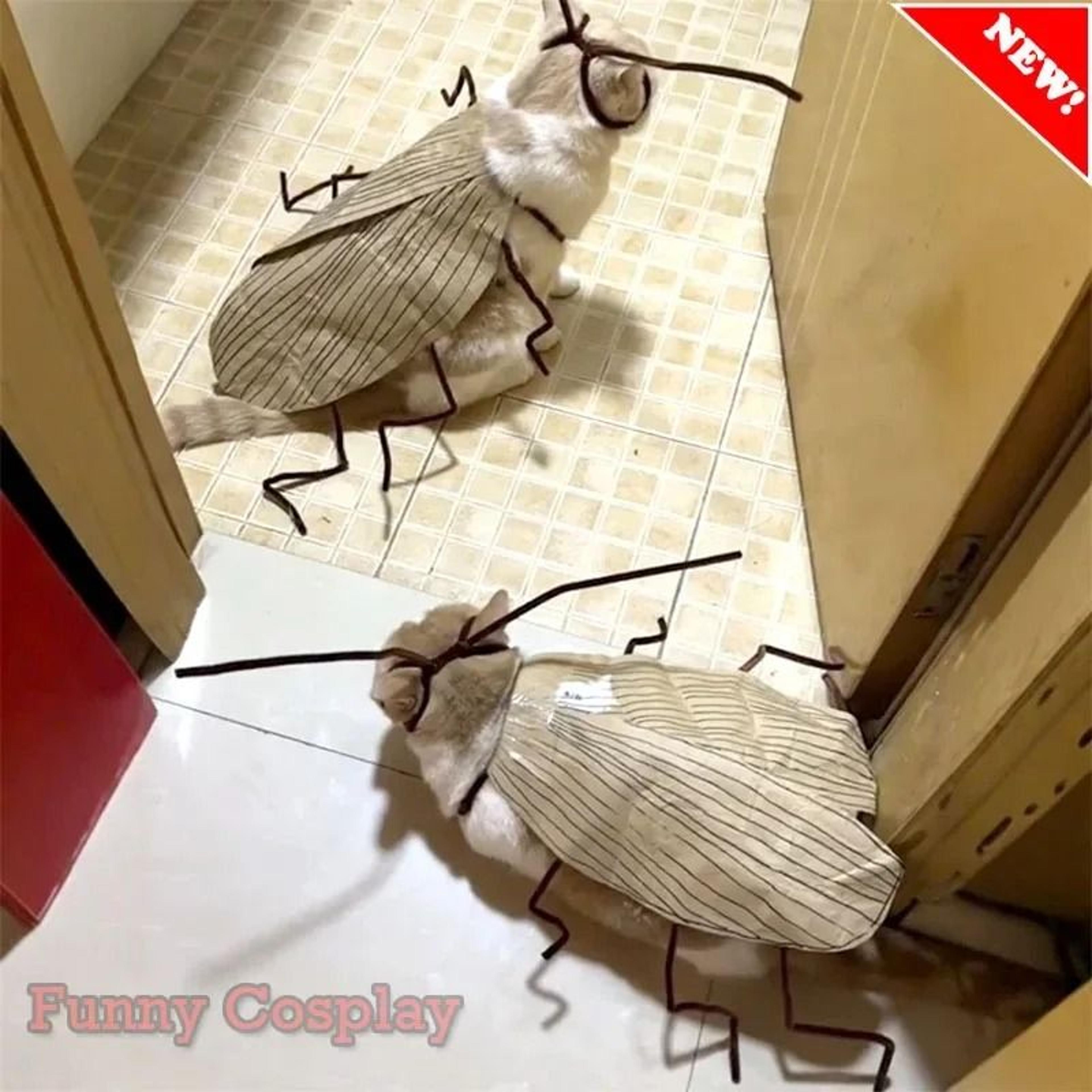 Cat Cockroach Costume DIY Material Pack  Breathable Pet Costume 1