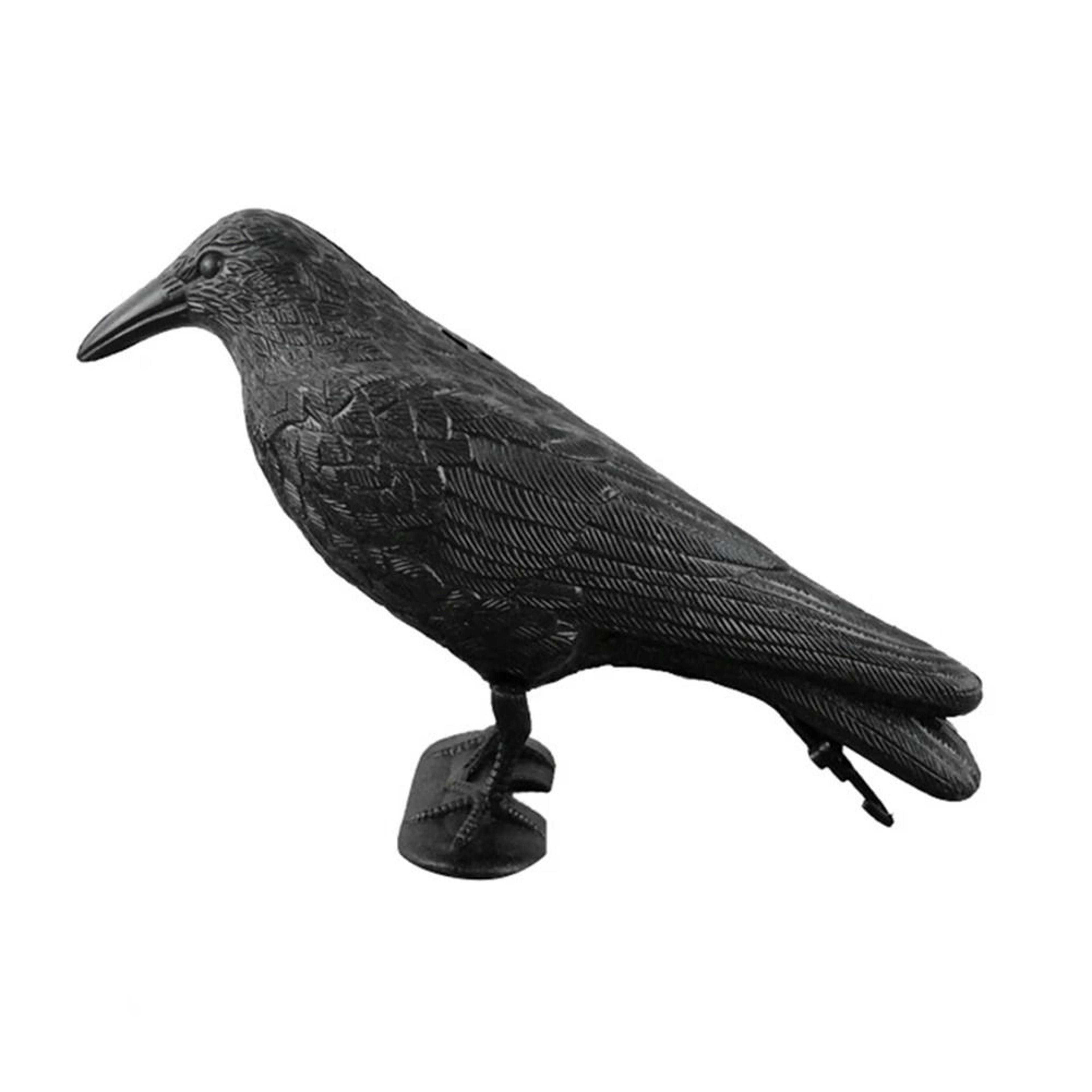 Realistic Black Crow  Raven Prop For Halloween  Outdoor Bird Repellent 6