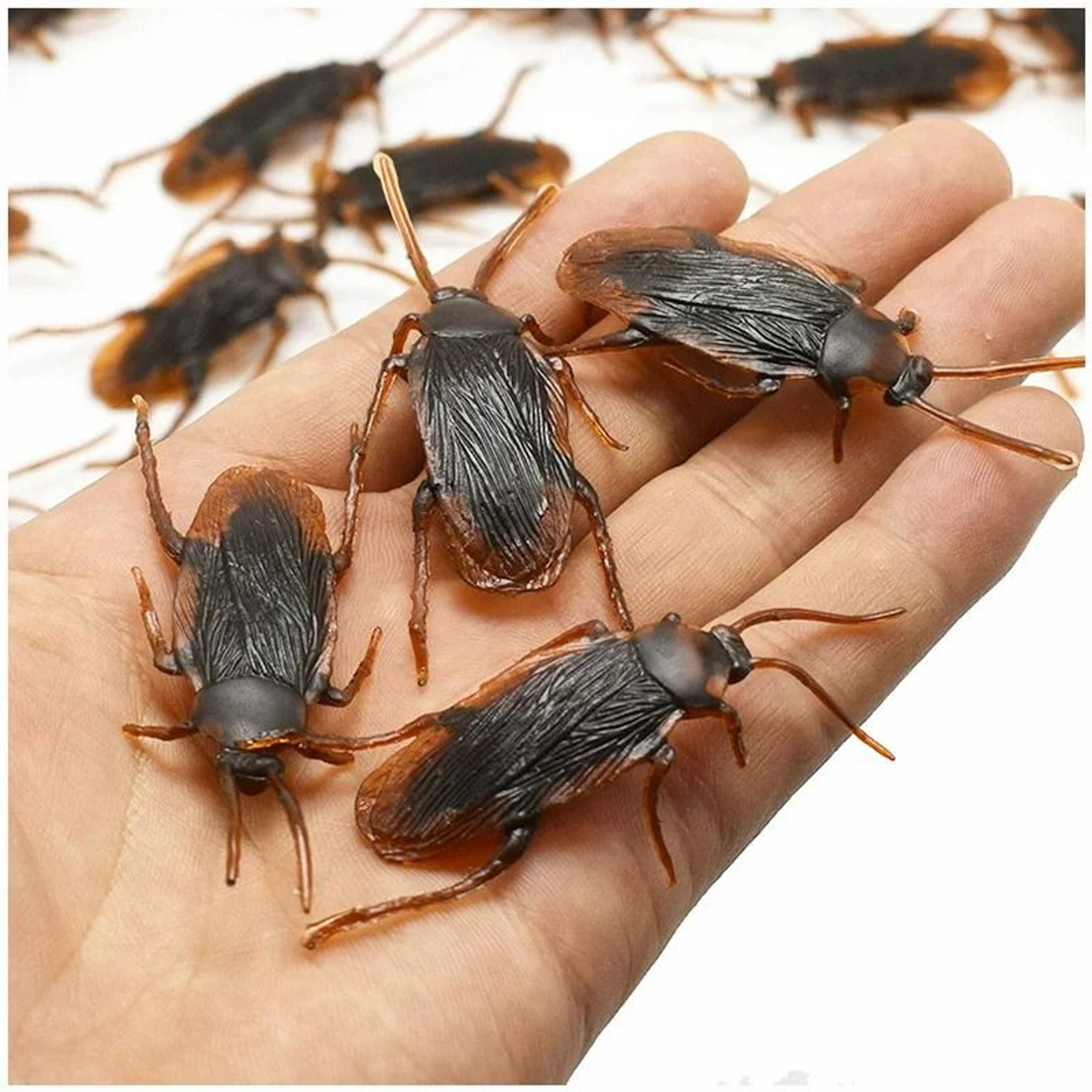 12Pcs Halloween Simulation Plastic Prank Bugs Pack 9