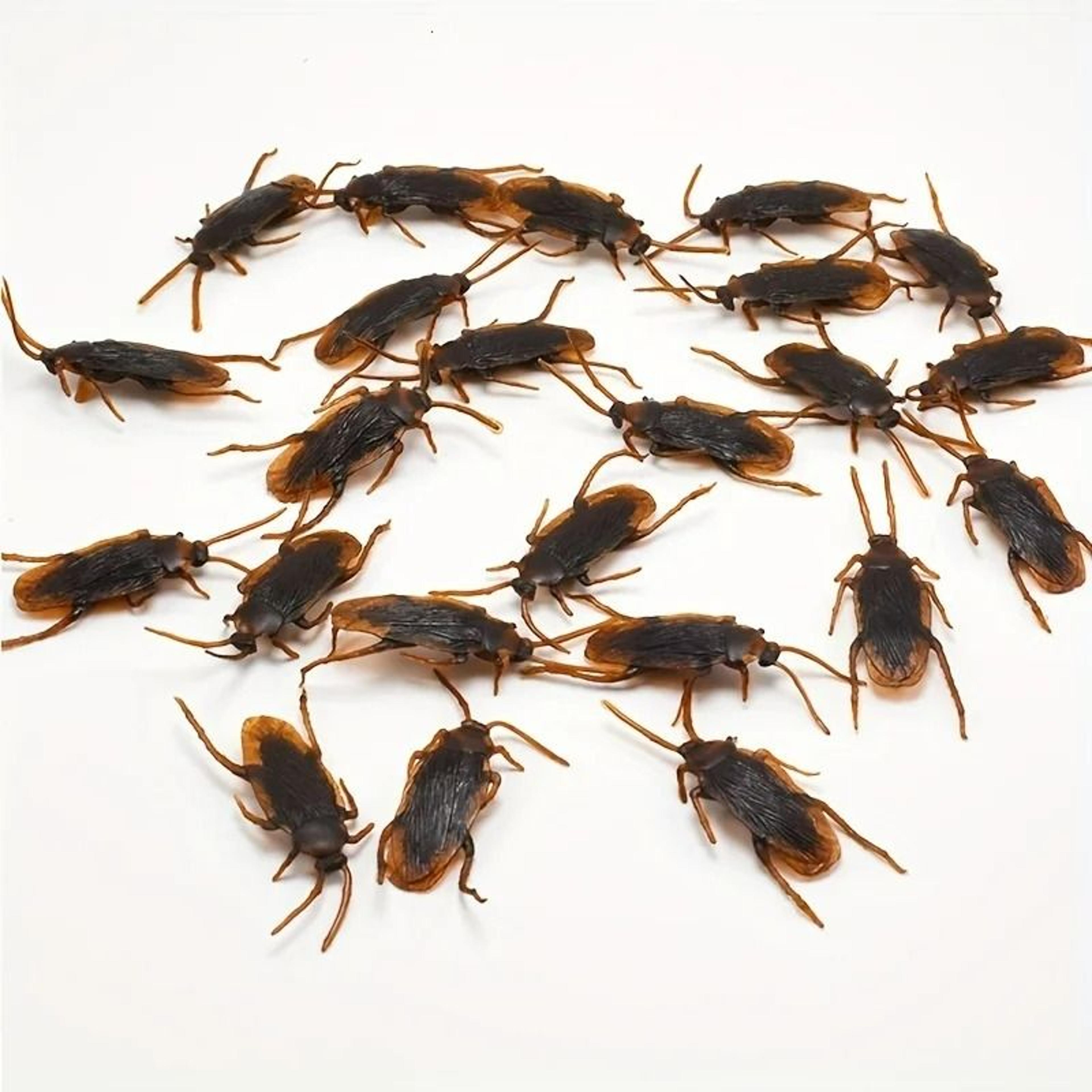 50Pcs Fake Cockroach Realistic Prank Bug Set 4