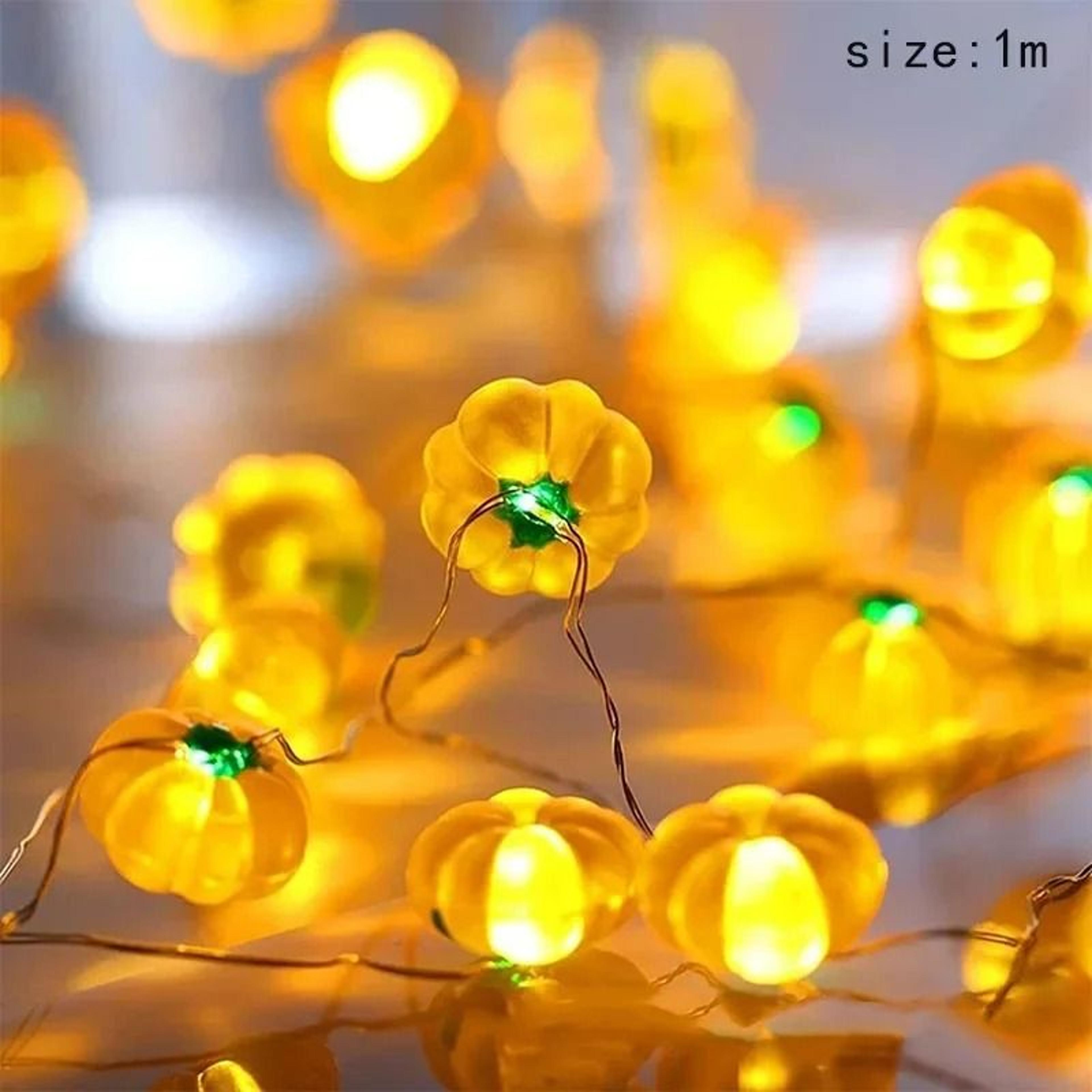 Halloween LED String Lights 11