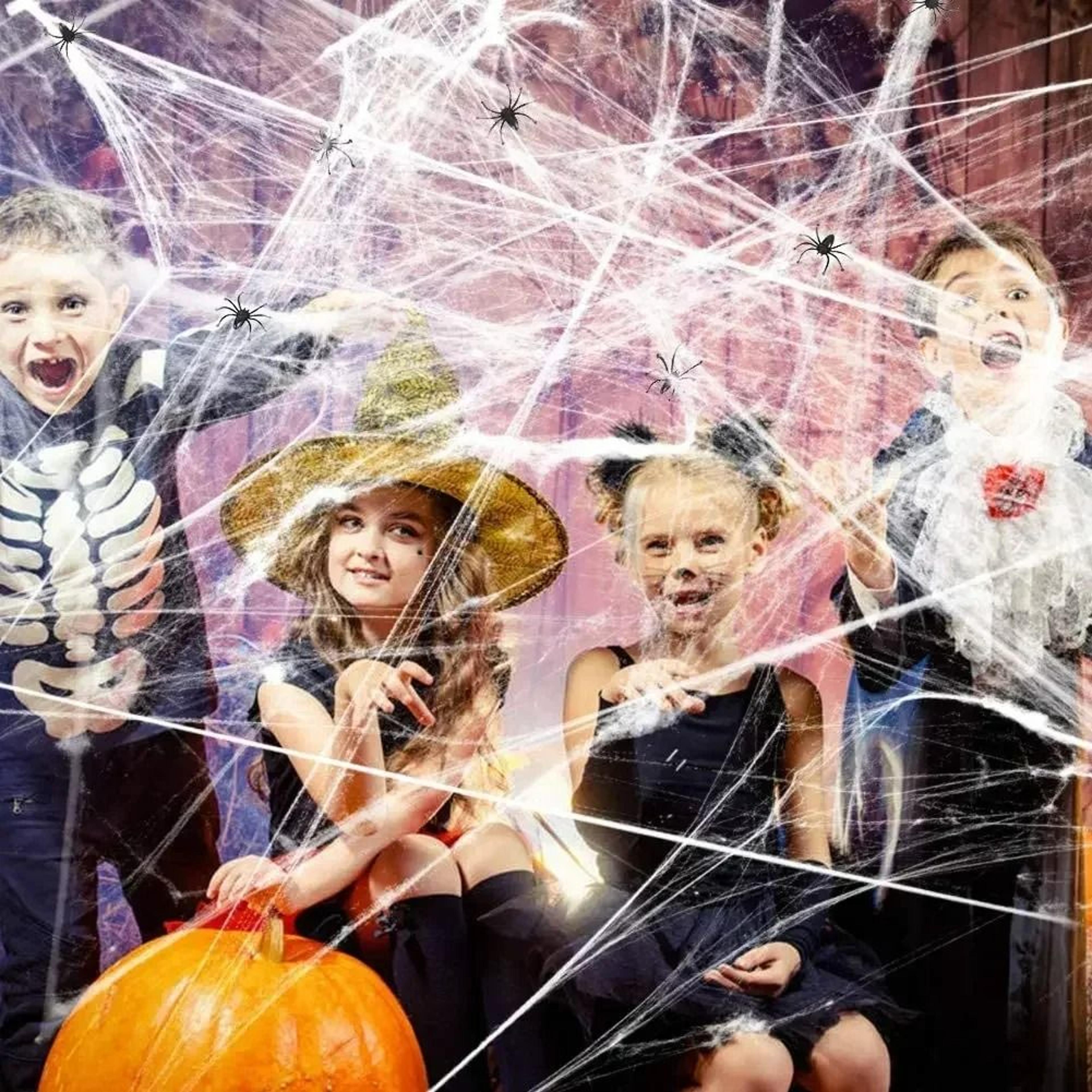 Stretchy Artificial Halloween Spider Web 6