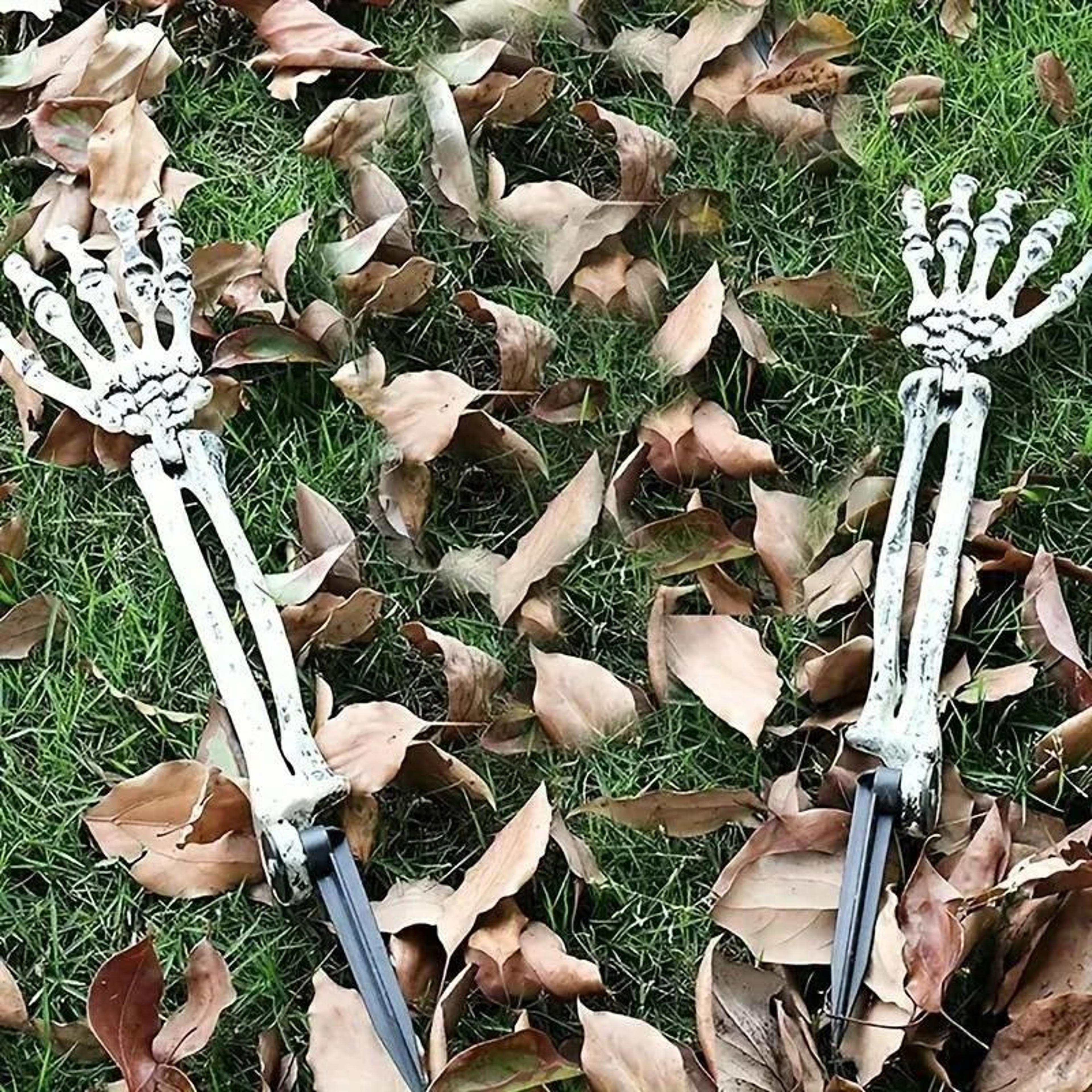 Halloween Skeleton Ground Stakes Set 5