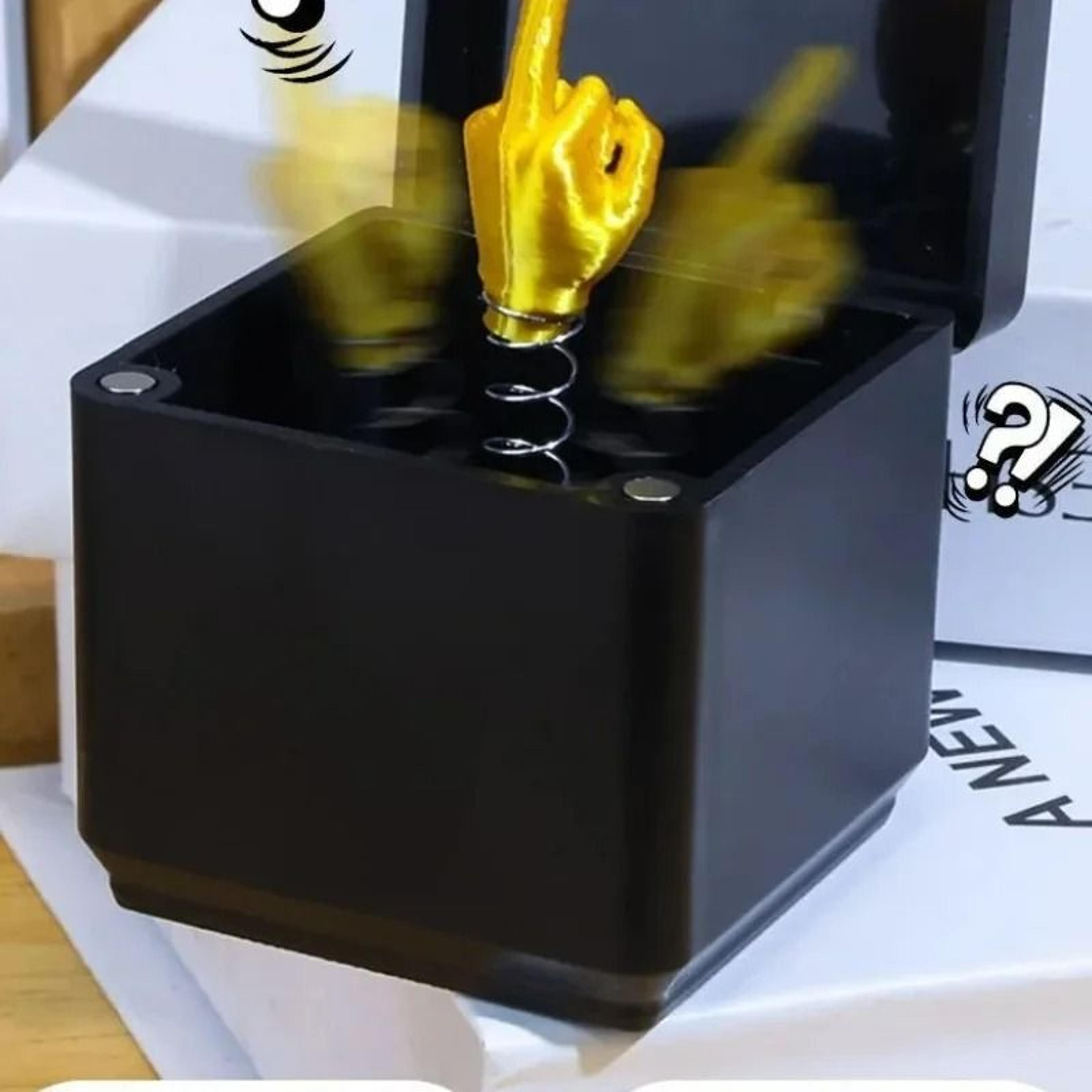 Middle Finger In A Box Funny Christmas Prank Gift 2