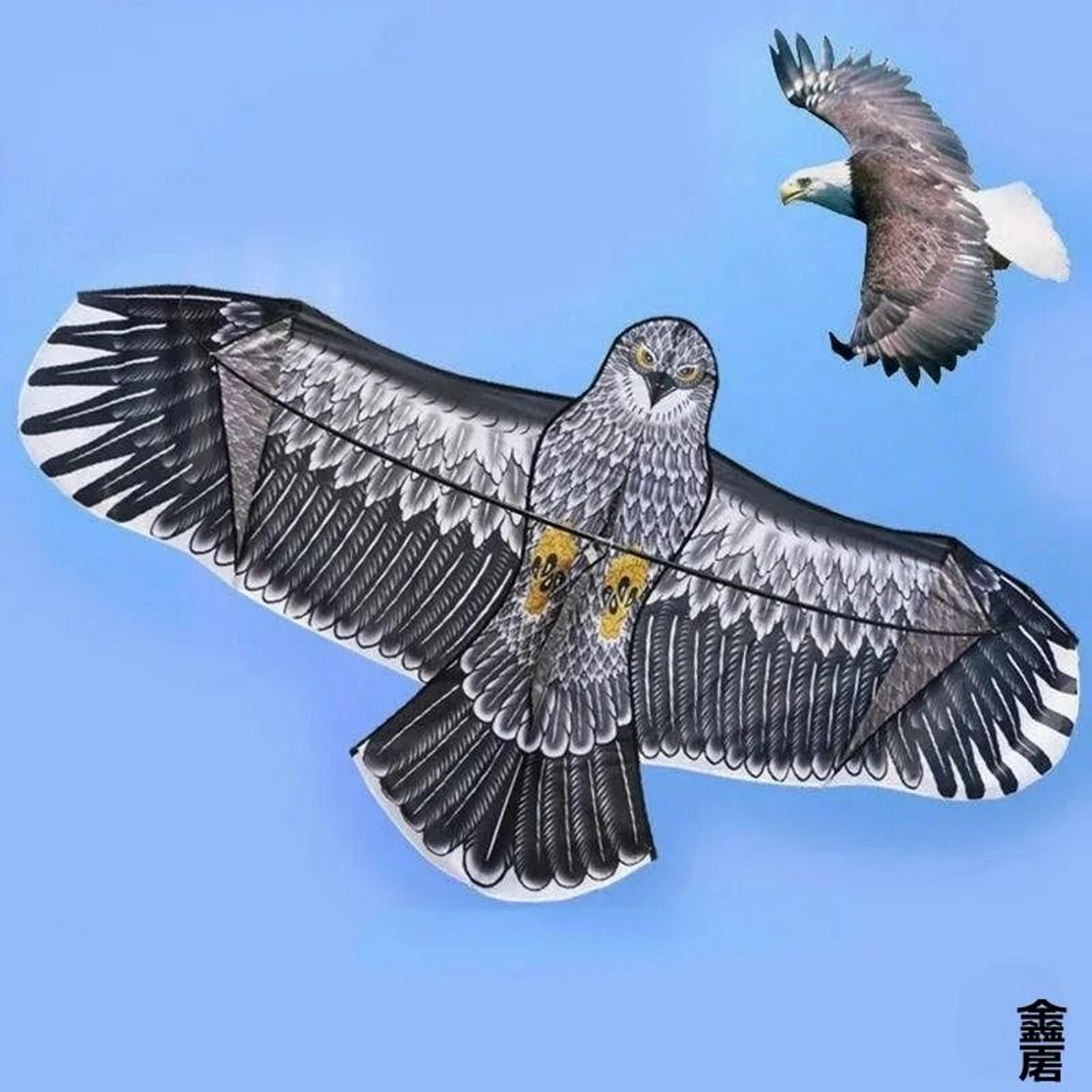 Flying Hawk Decoy Bird Repeller Kite 1