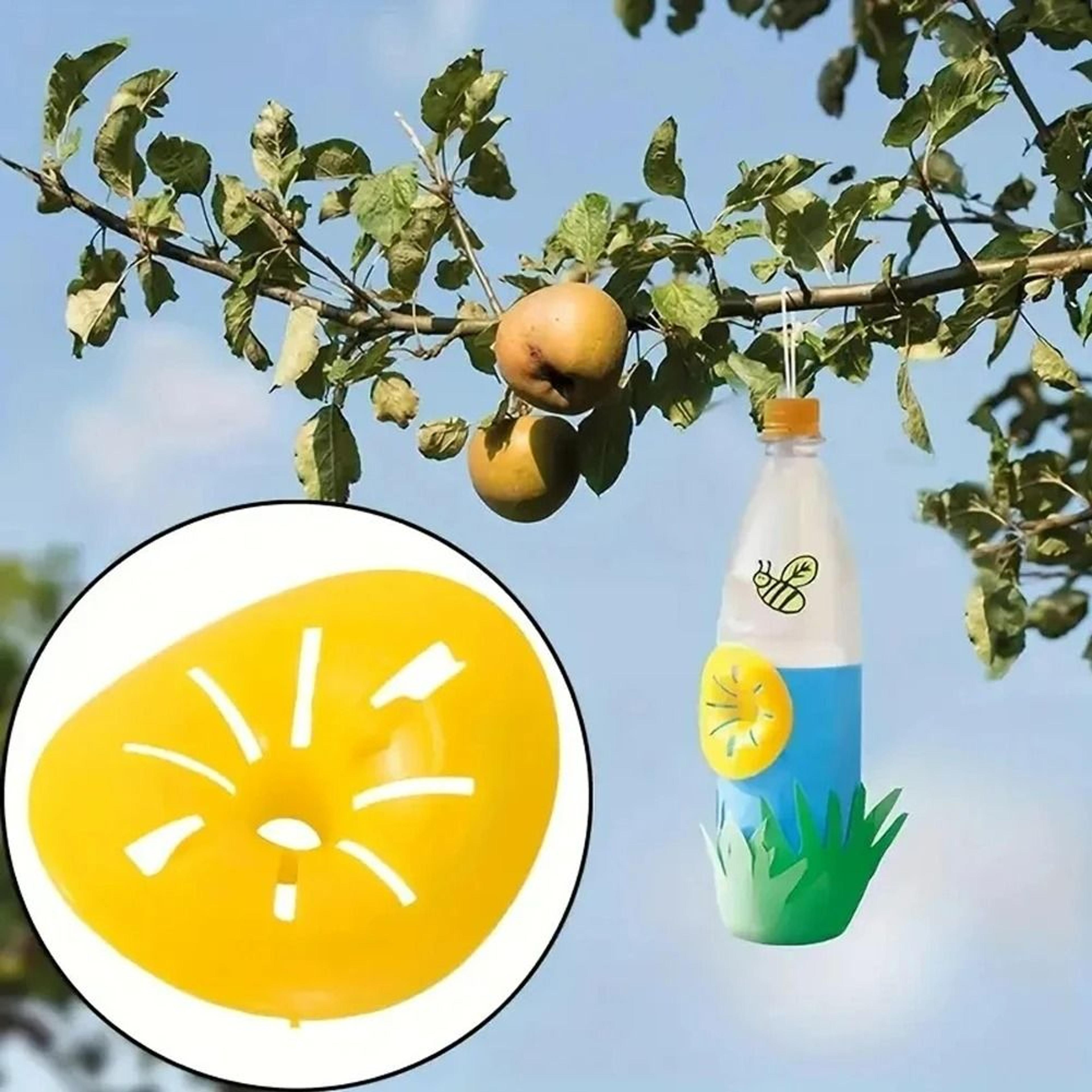 5Pack Reusable Wasp Trap Funnel Set 3