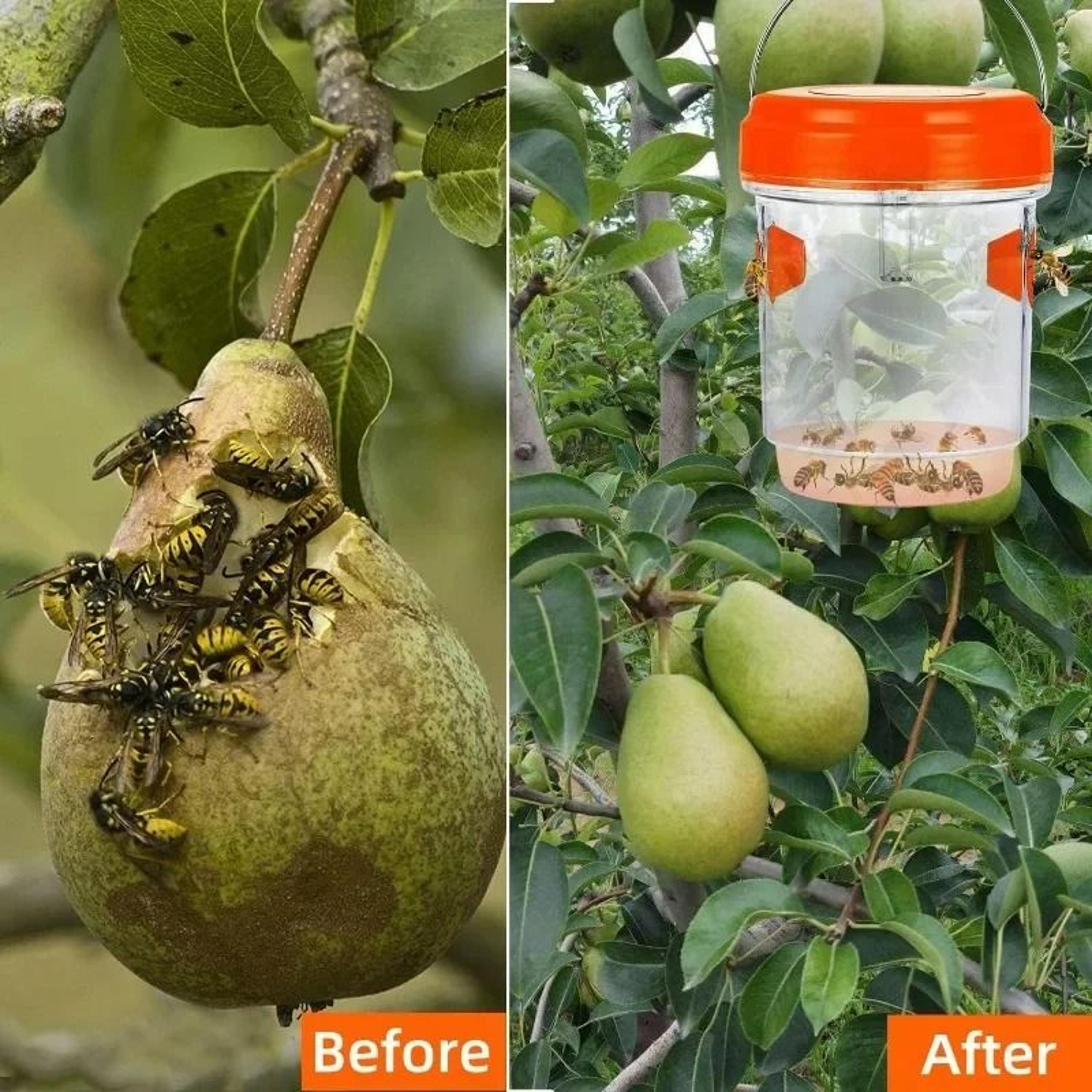 Large Waterproof Hanging Wasp  Hornet Trap 2